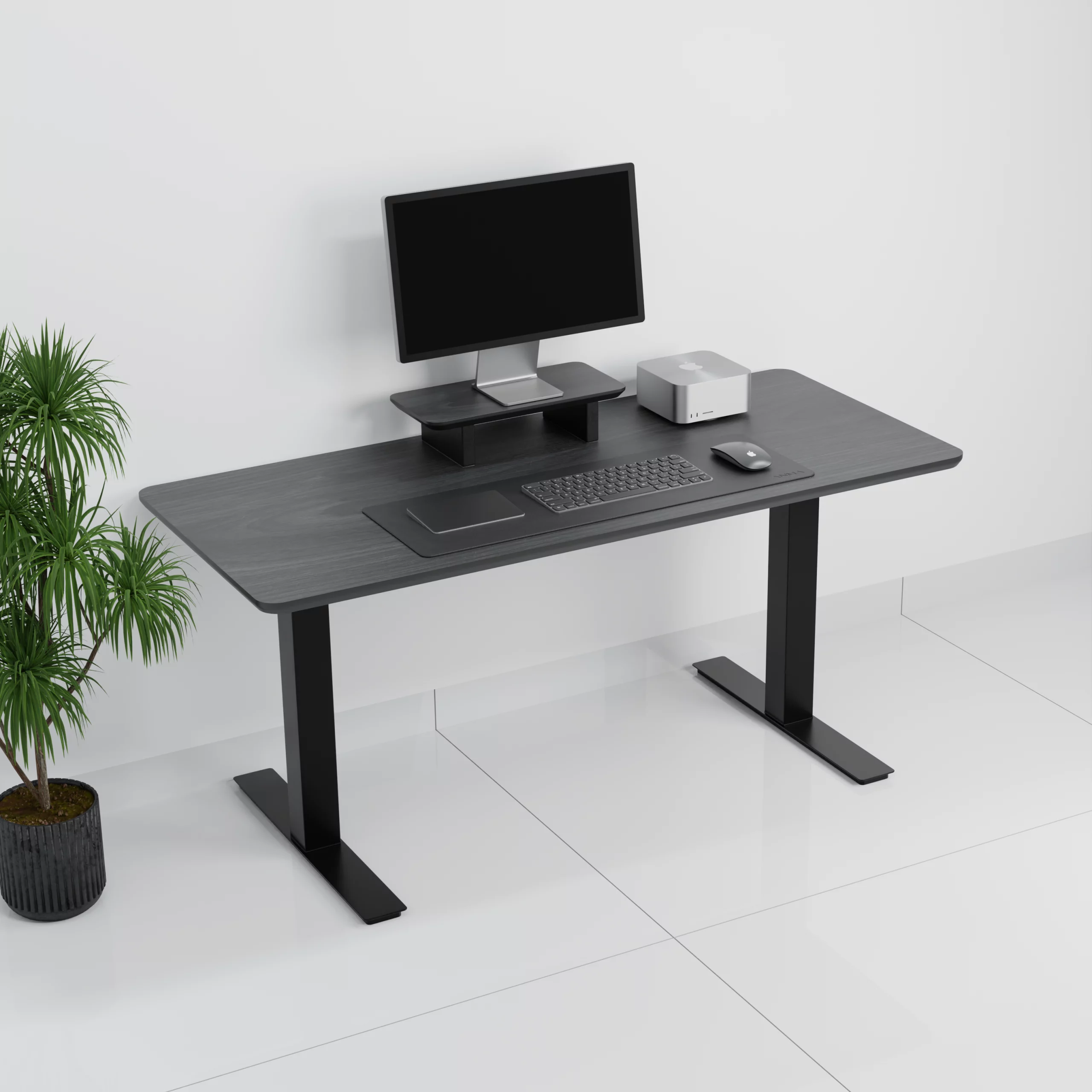 mesa+standpro mini0001