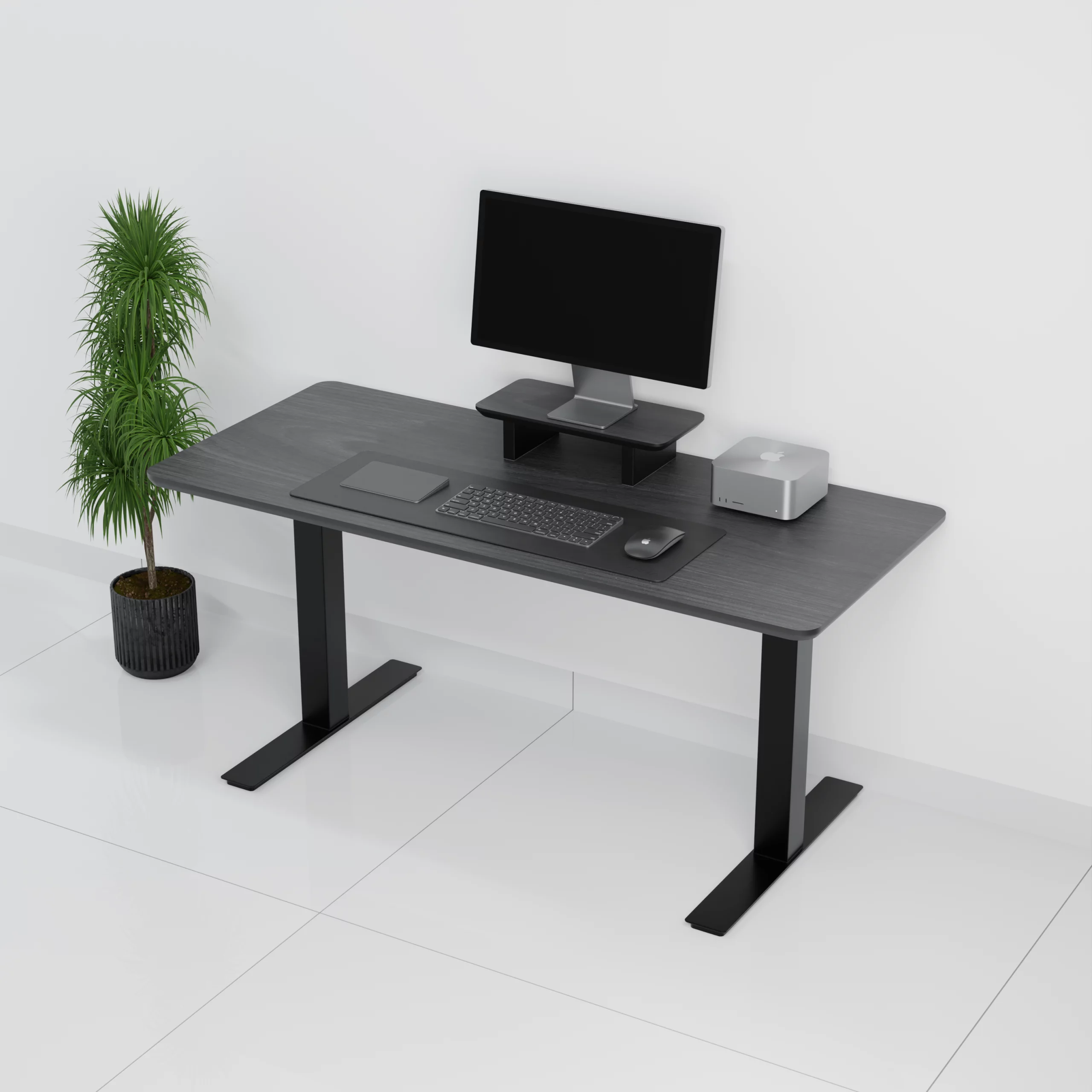 mesa+standpro mini0002