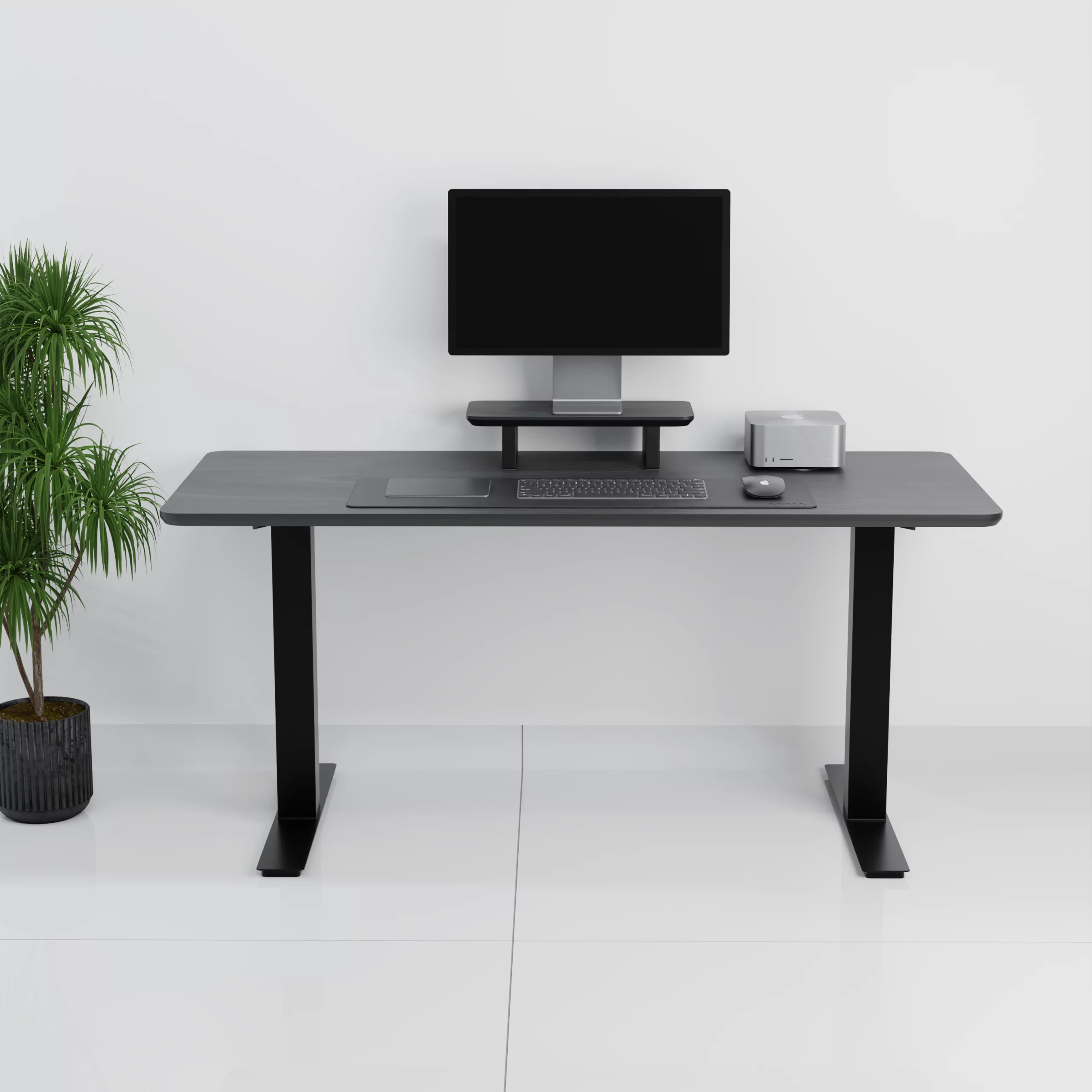 mesa+standpro mini0003