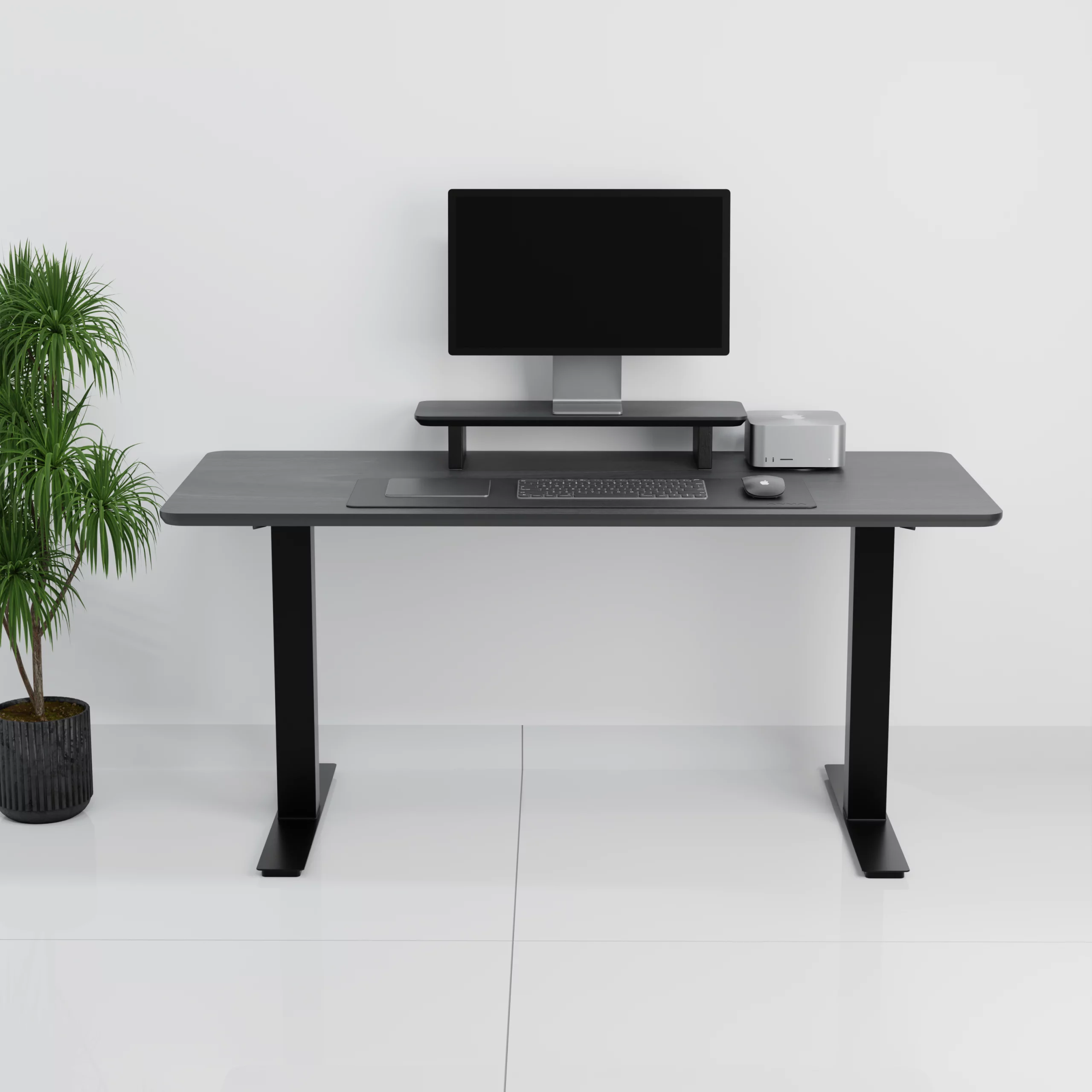 mesa+standpro slim0003