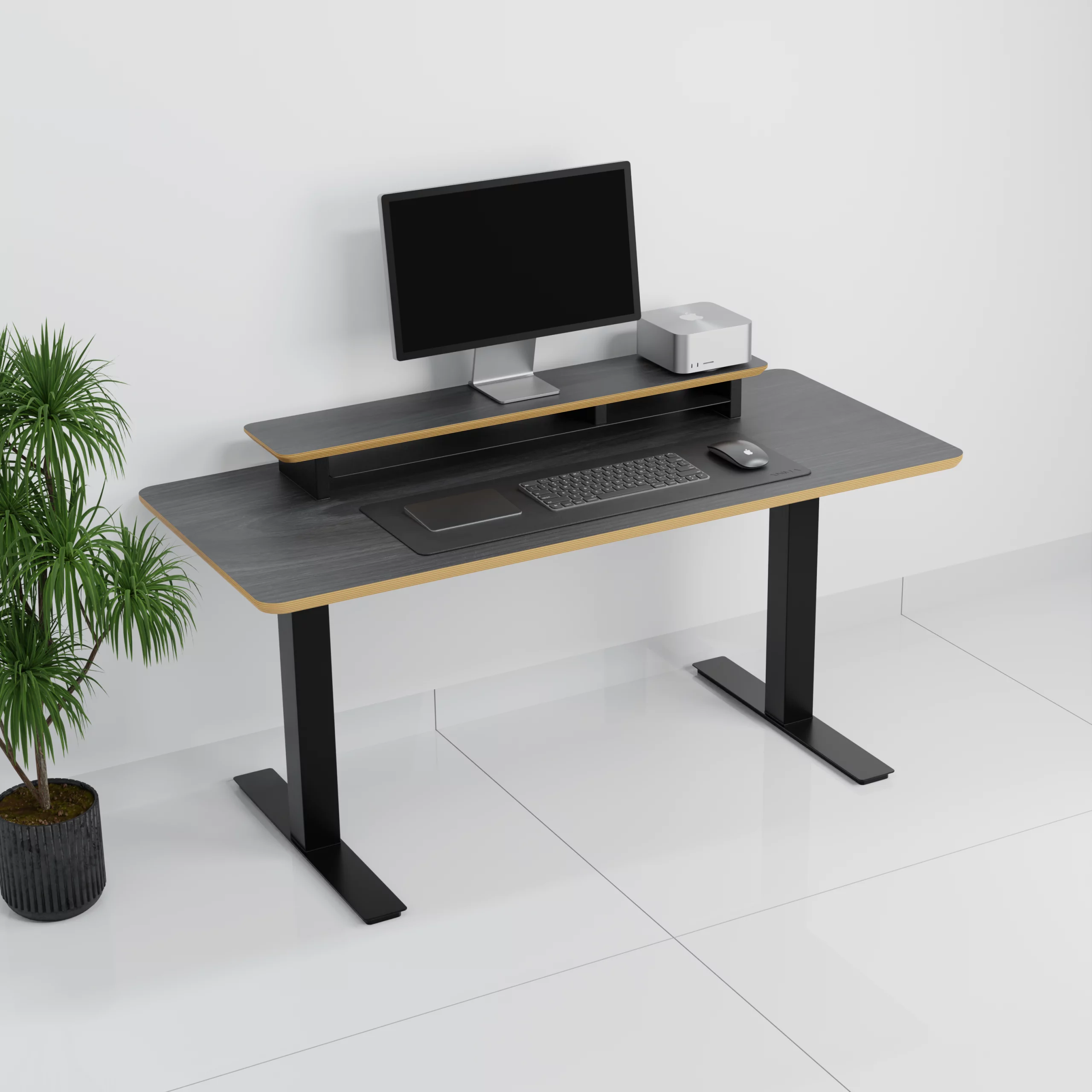 mesa+StandPro 4 0001