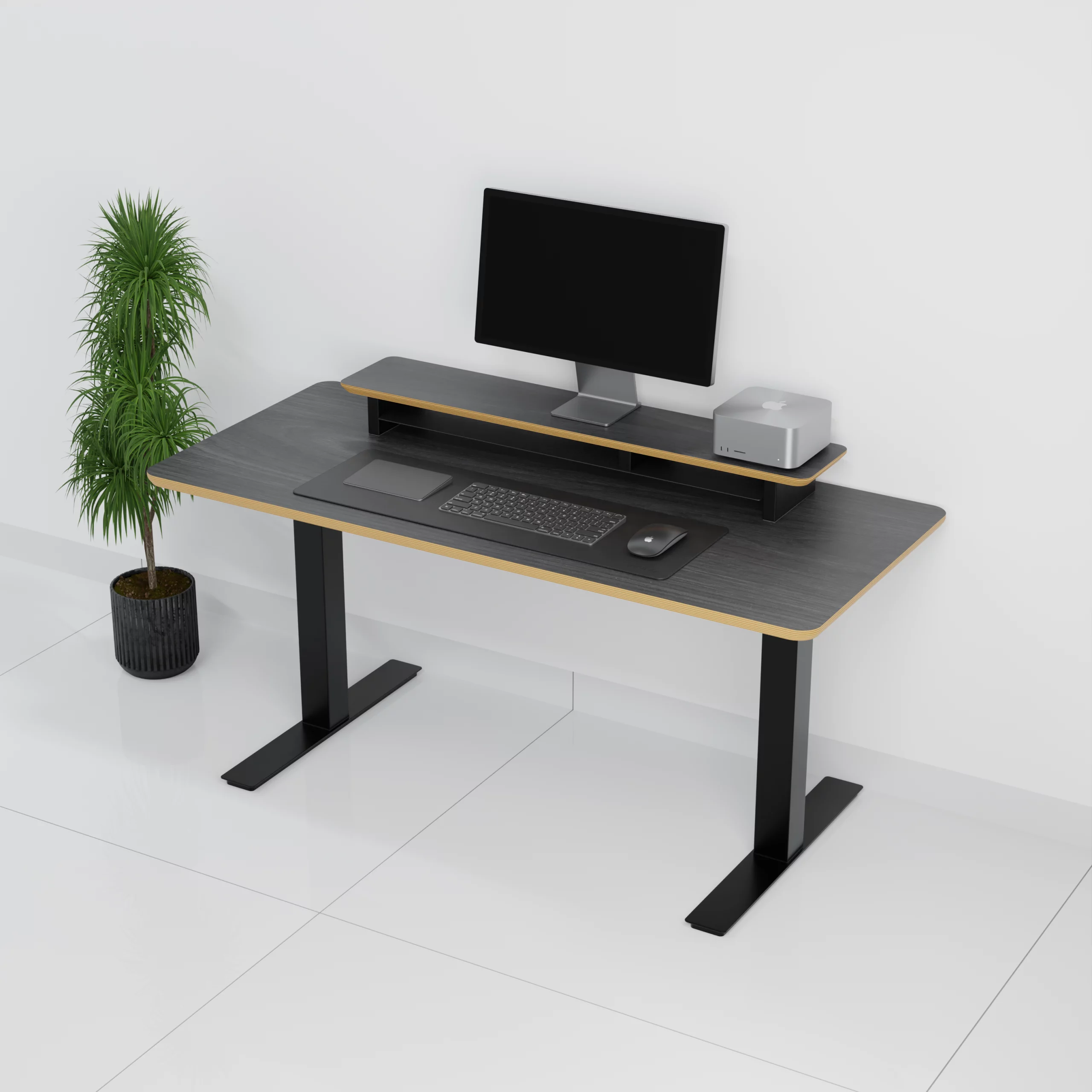 mesa+StandPro 4 0002