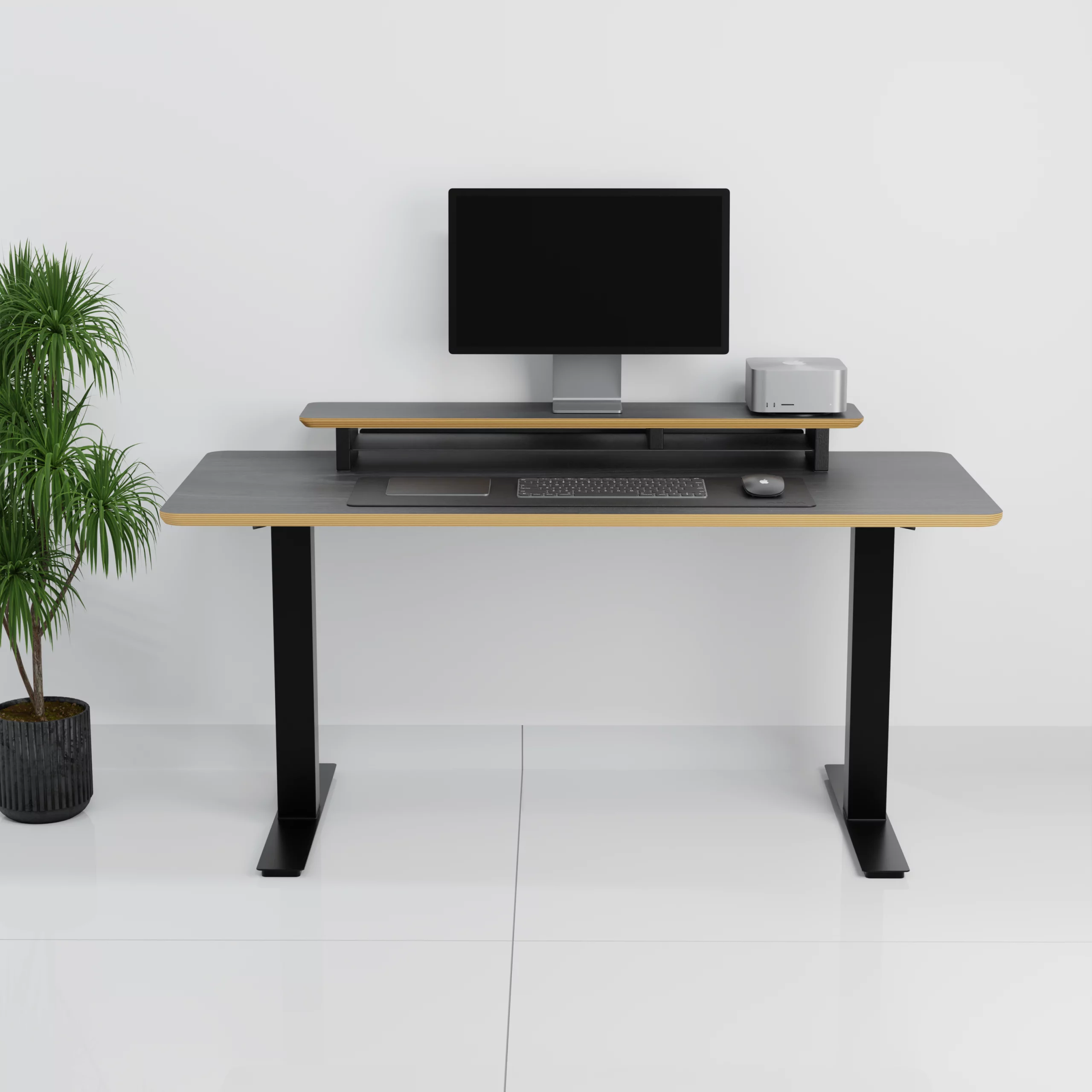 mesa+StandPro 4 0003