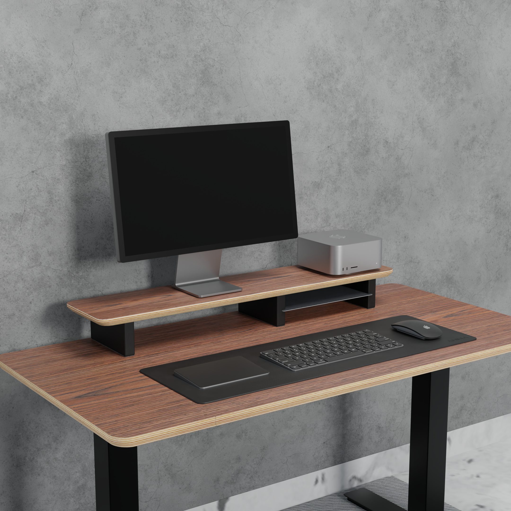 StandPro 2 Slim Nogueira Anma