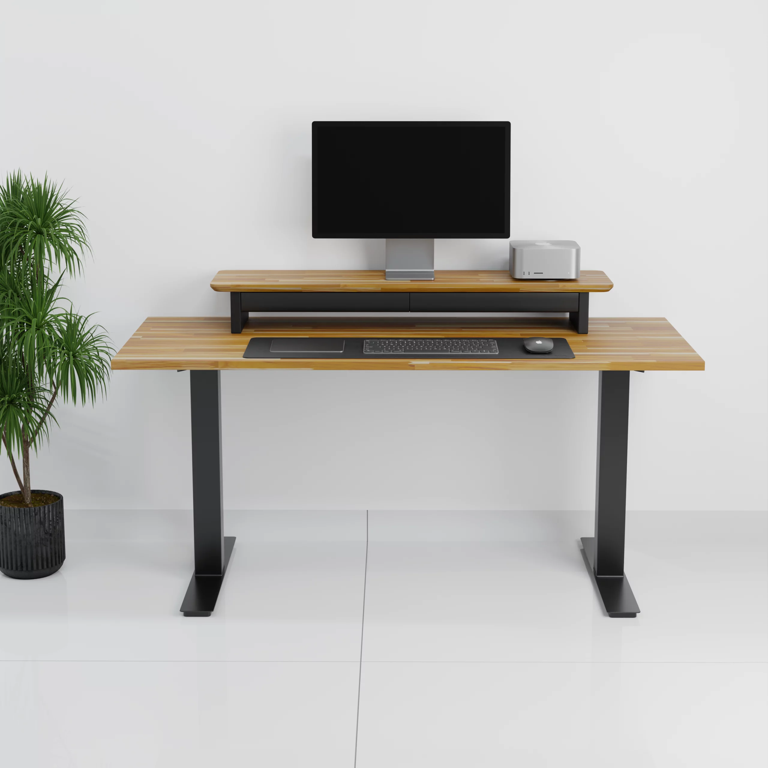 mesa+Standpro 50003