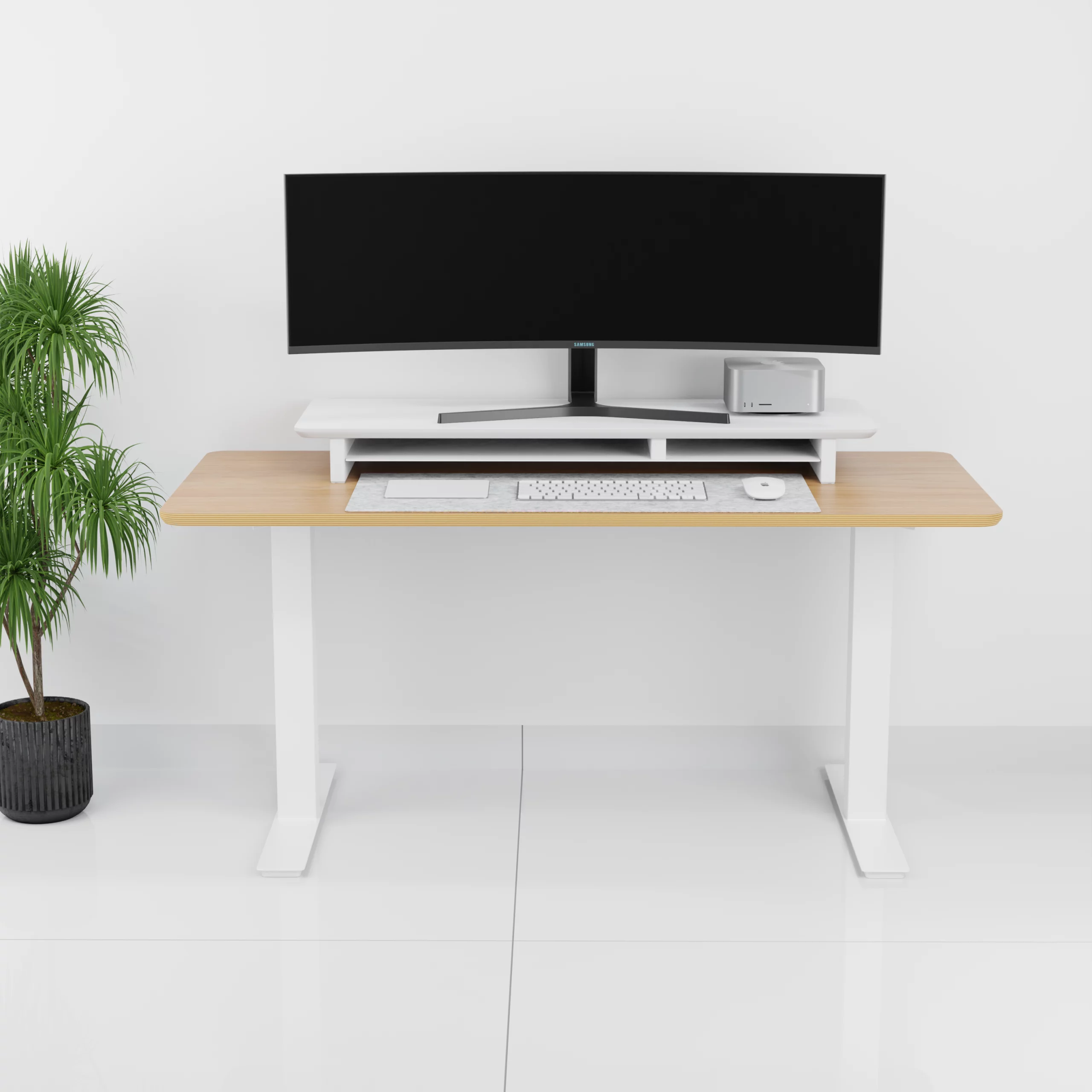 mesa+Standpro 4 max0003