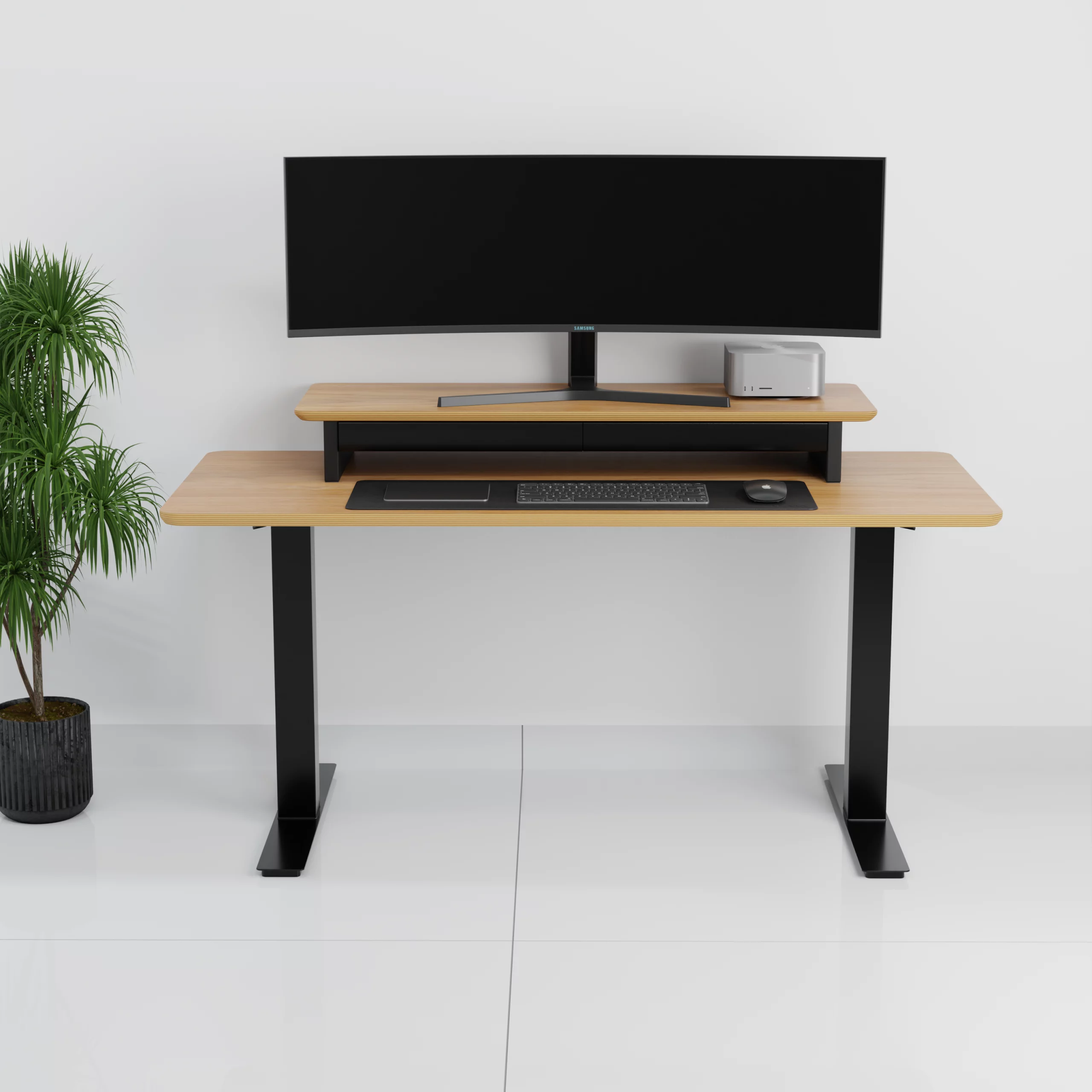mesa+Standpro 5 max0003