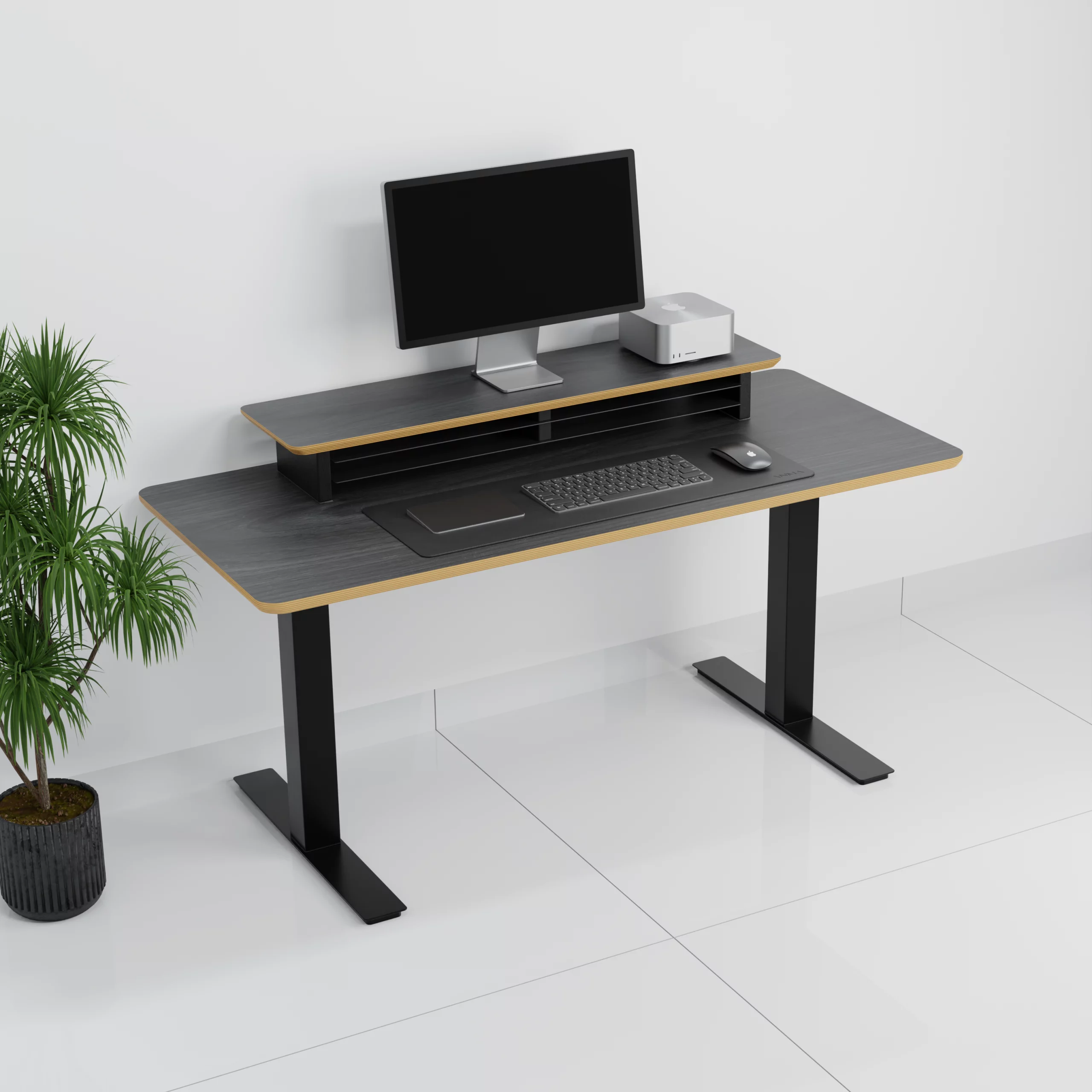 mesa+standpro 60001