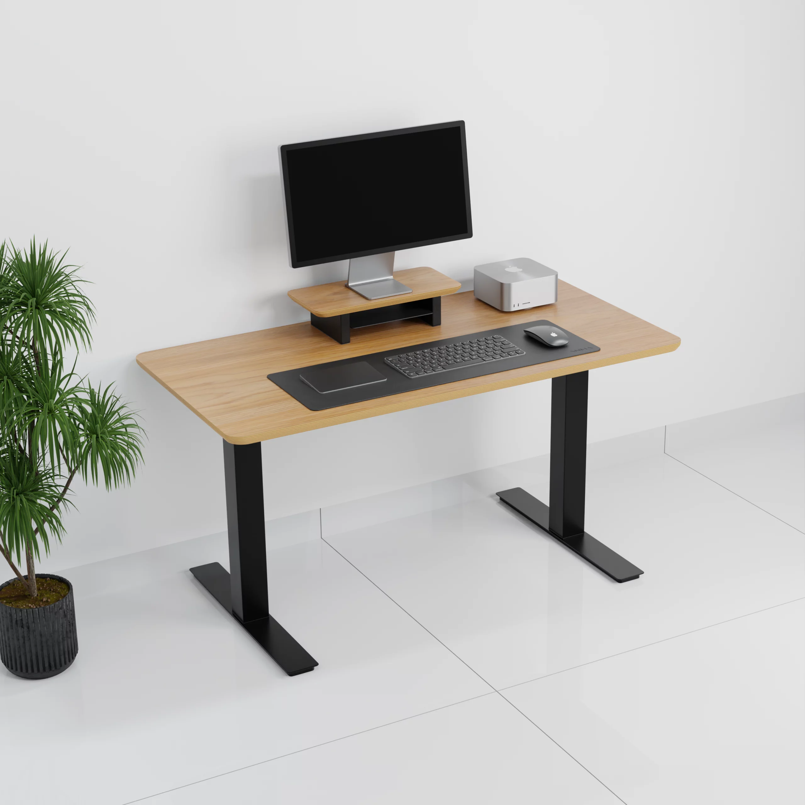 mesa+standpro Mini Plus0001
