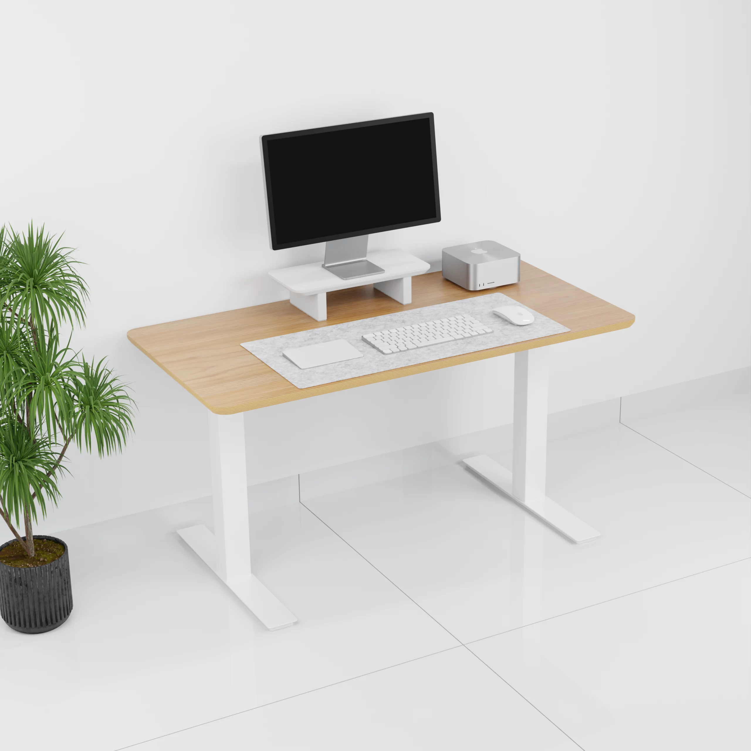 mesa+Standpro mini0001