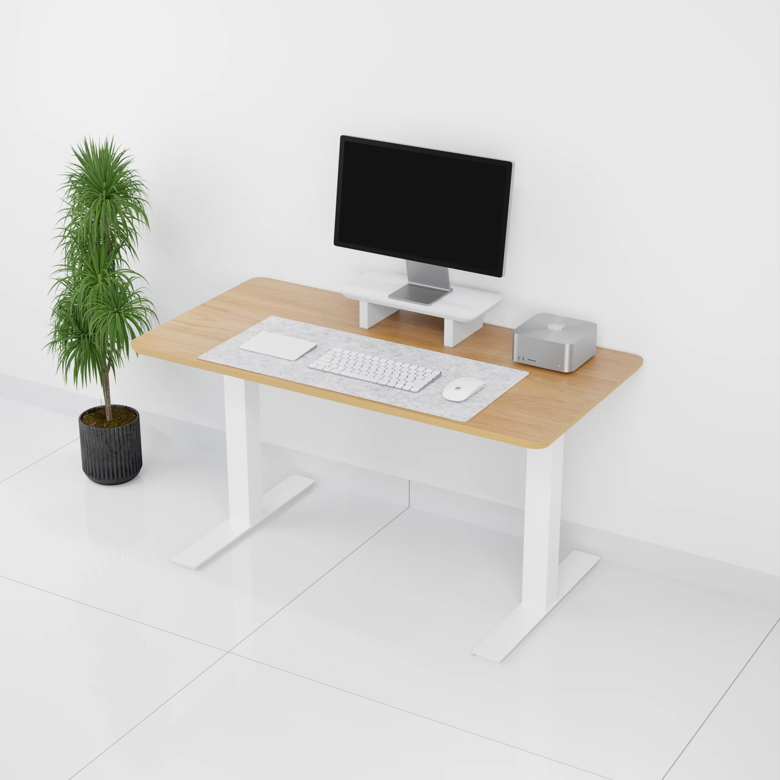 mesa+Standpro mini0002
