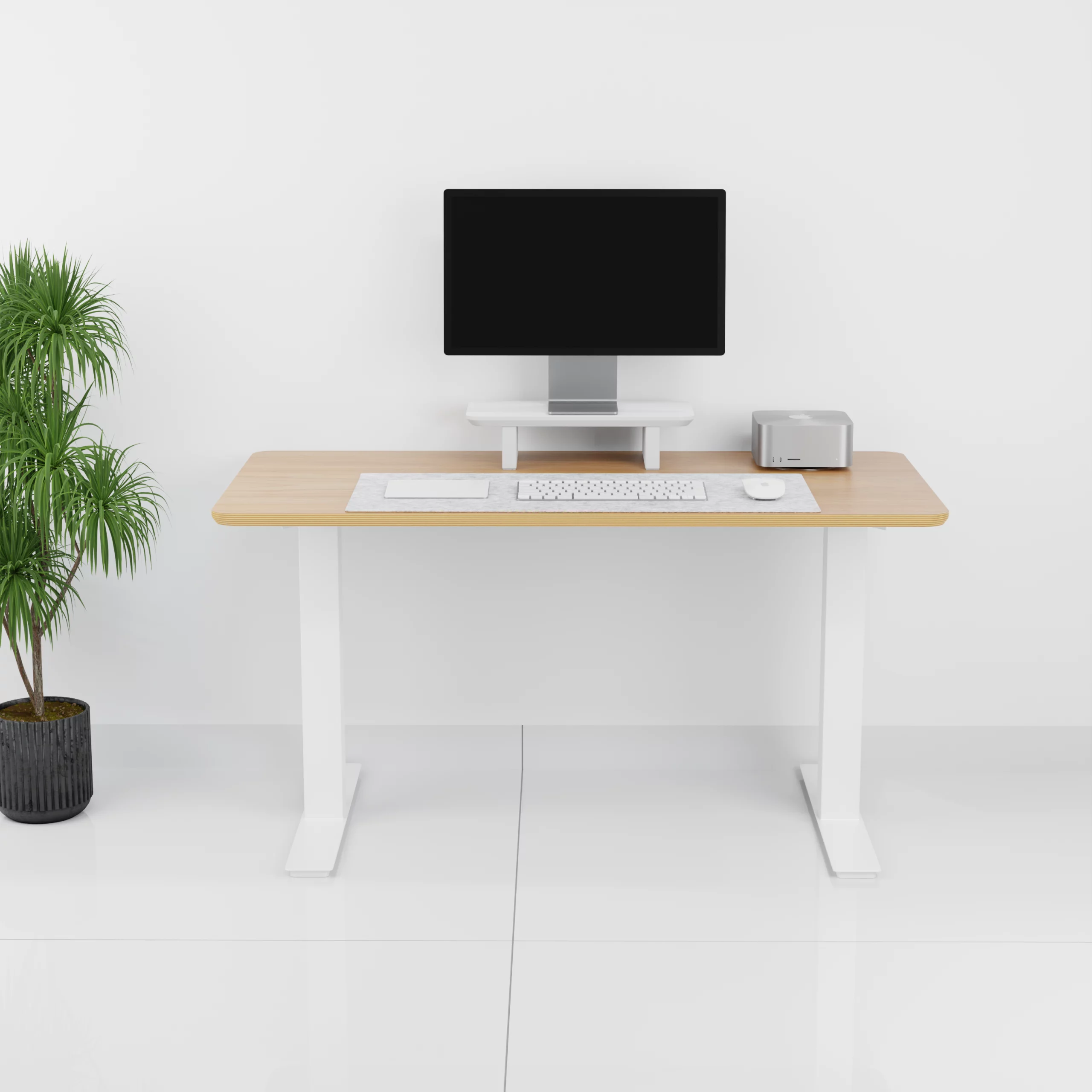 mesa+Standpro mini0003