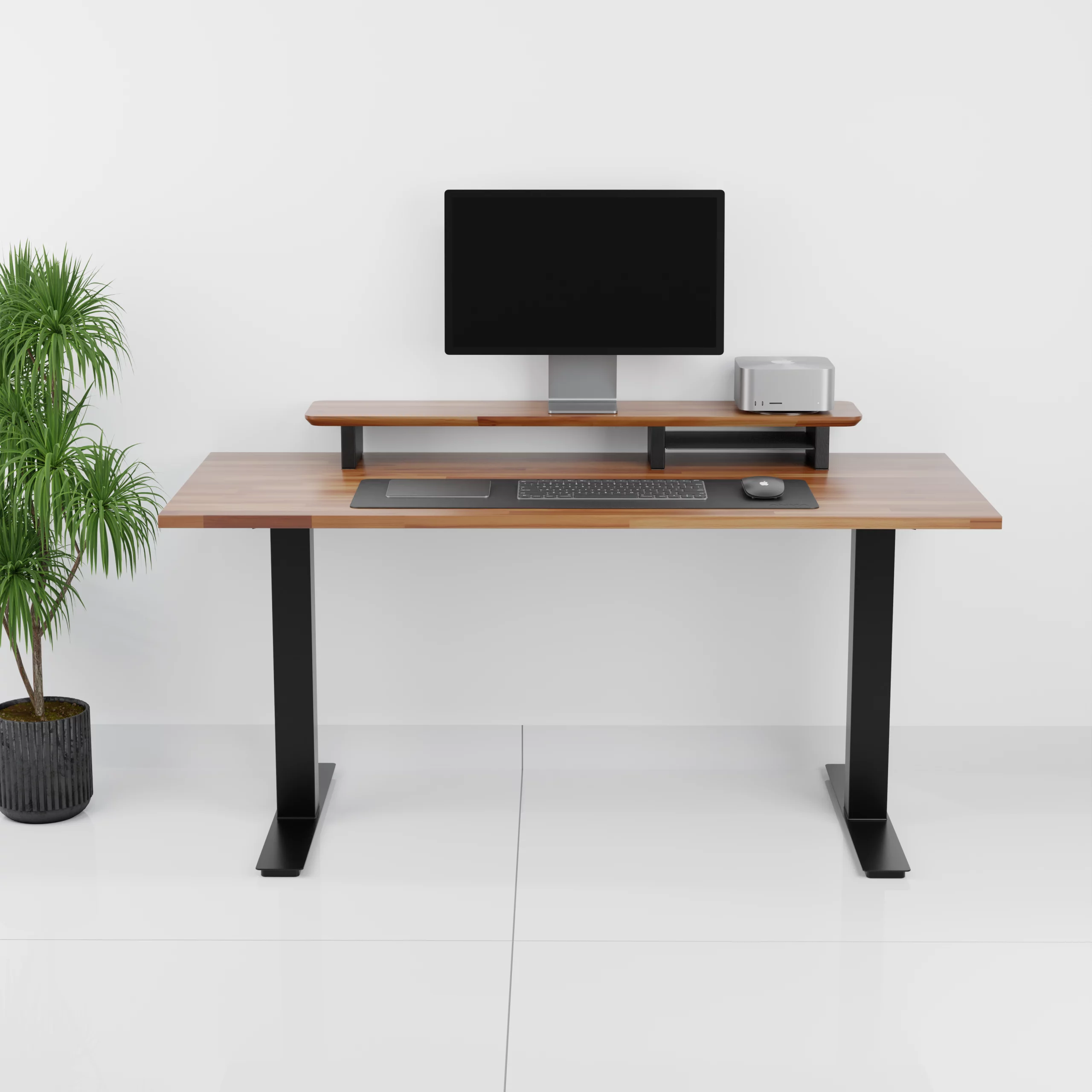 StandPro 2 _ 020003