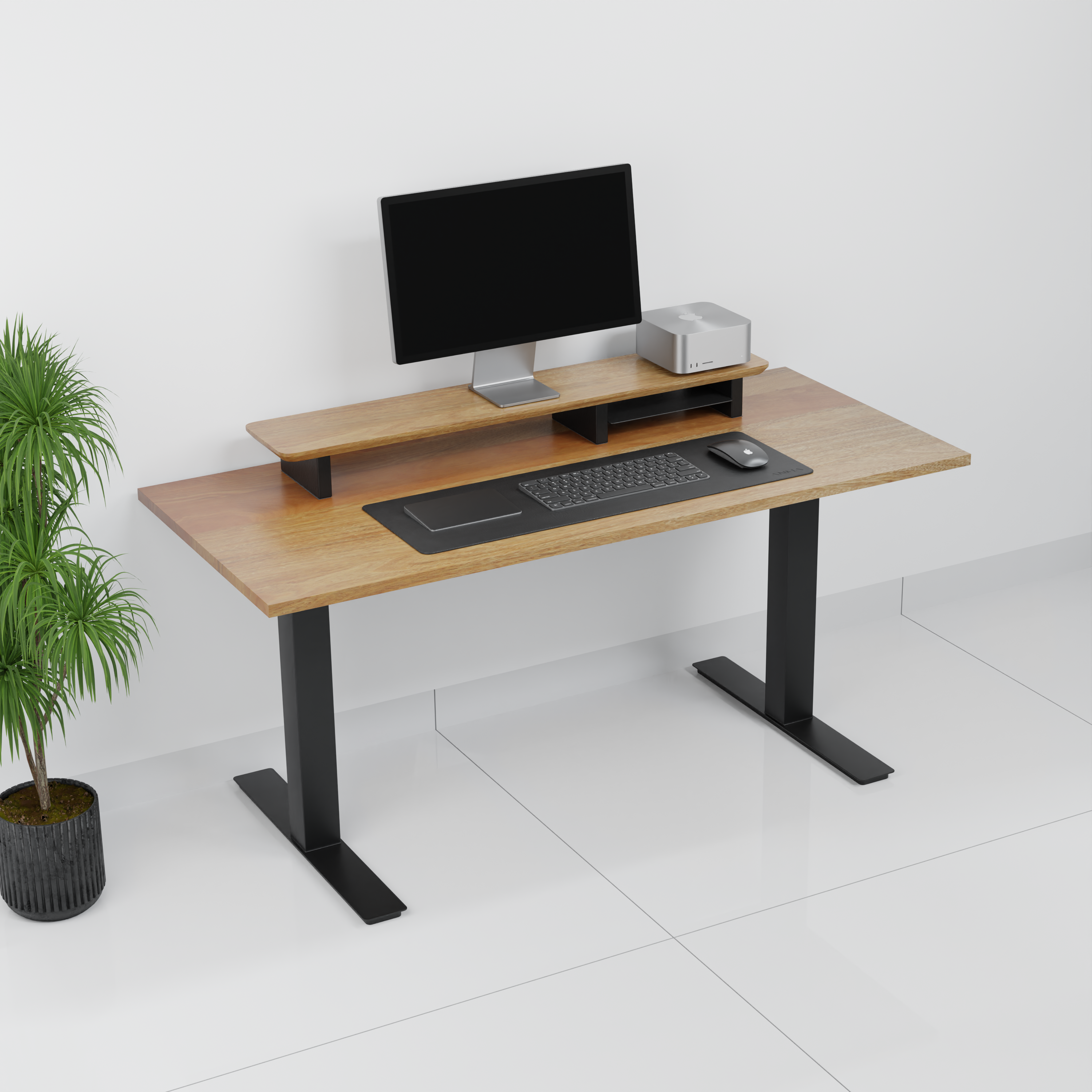 StandPro 2 Cerejeira 009