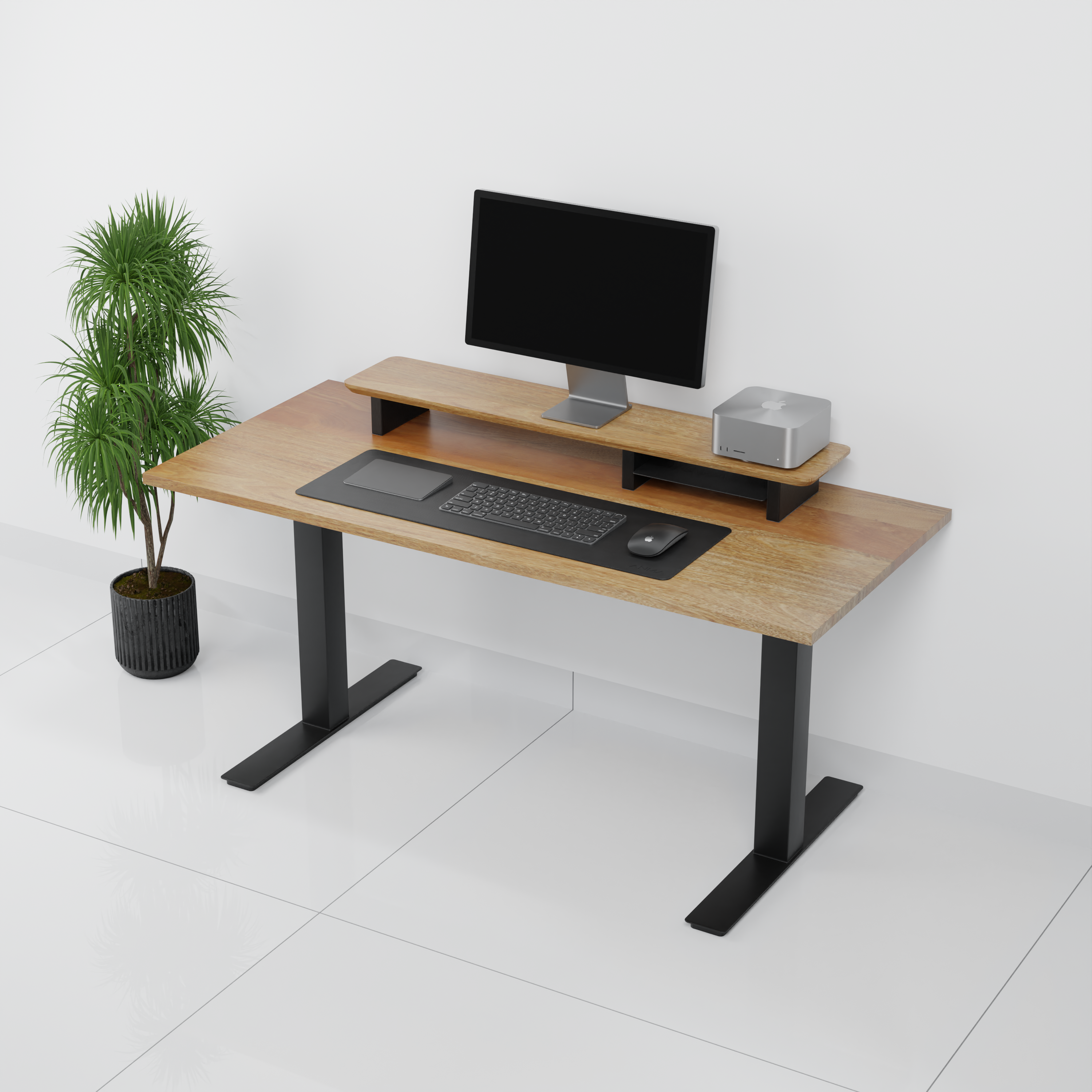 StandPro 2 Cerejeira 010