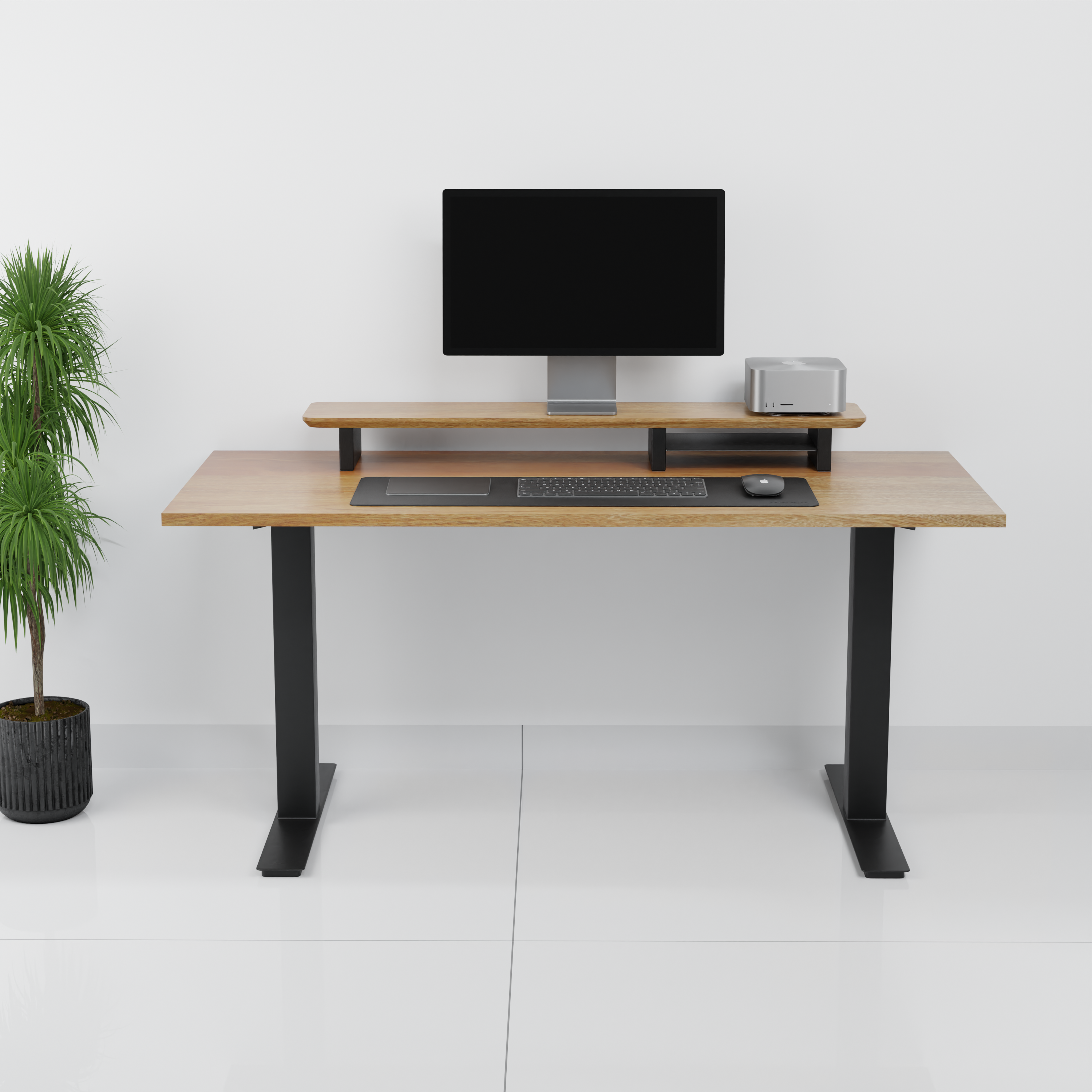 StandPro 2 Cerejeira 011