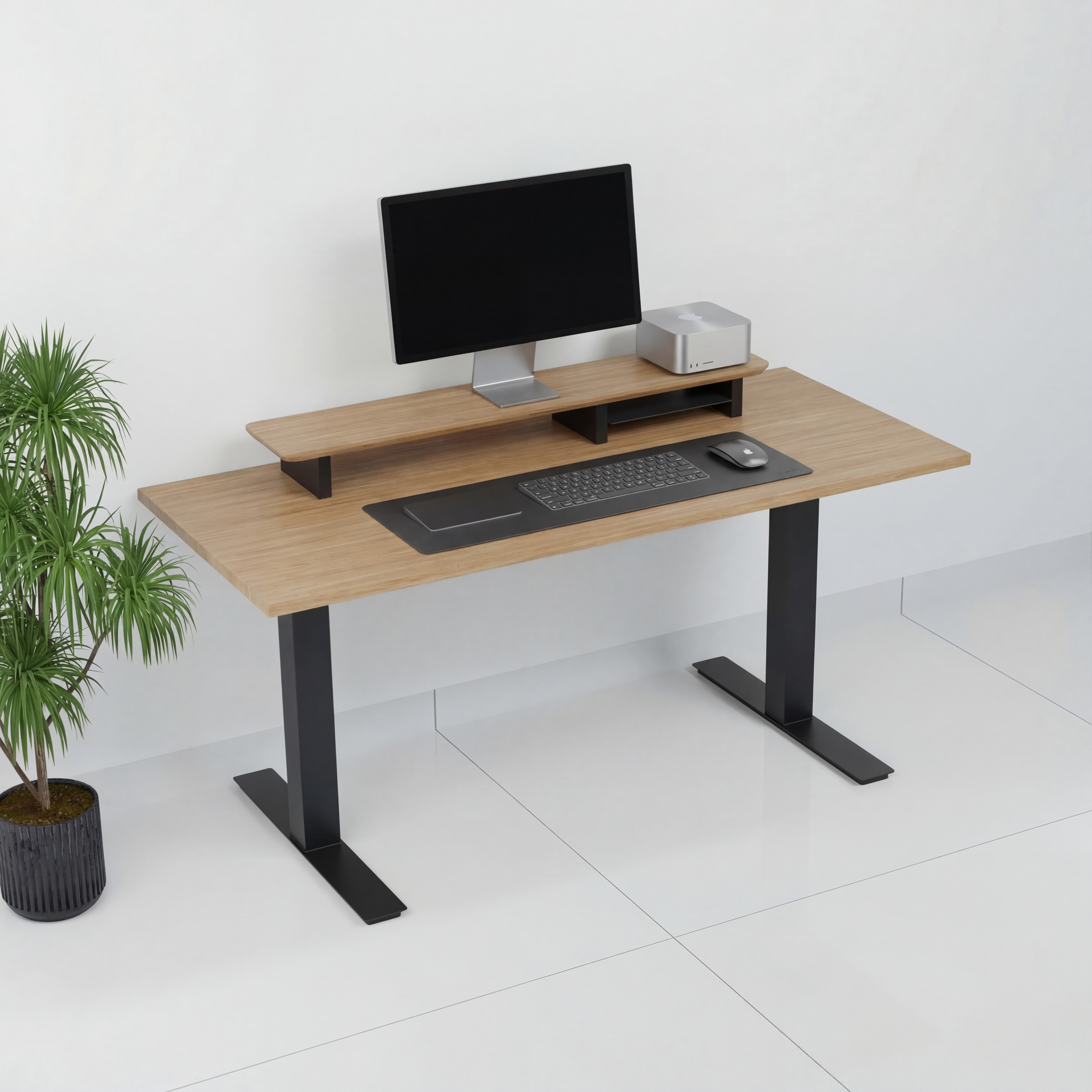 StandPro 2 Jequitiba 009