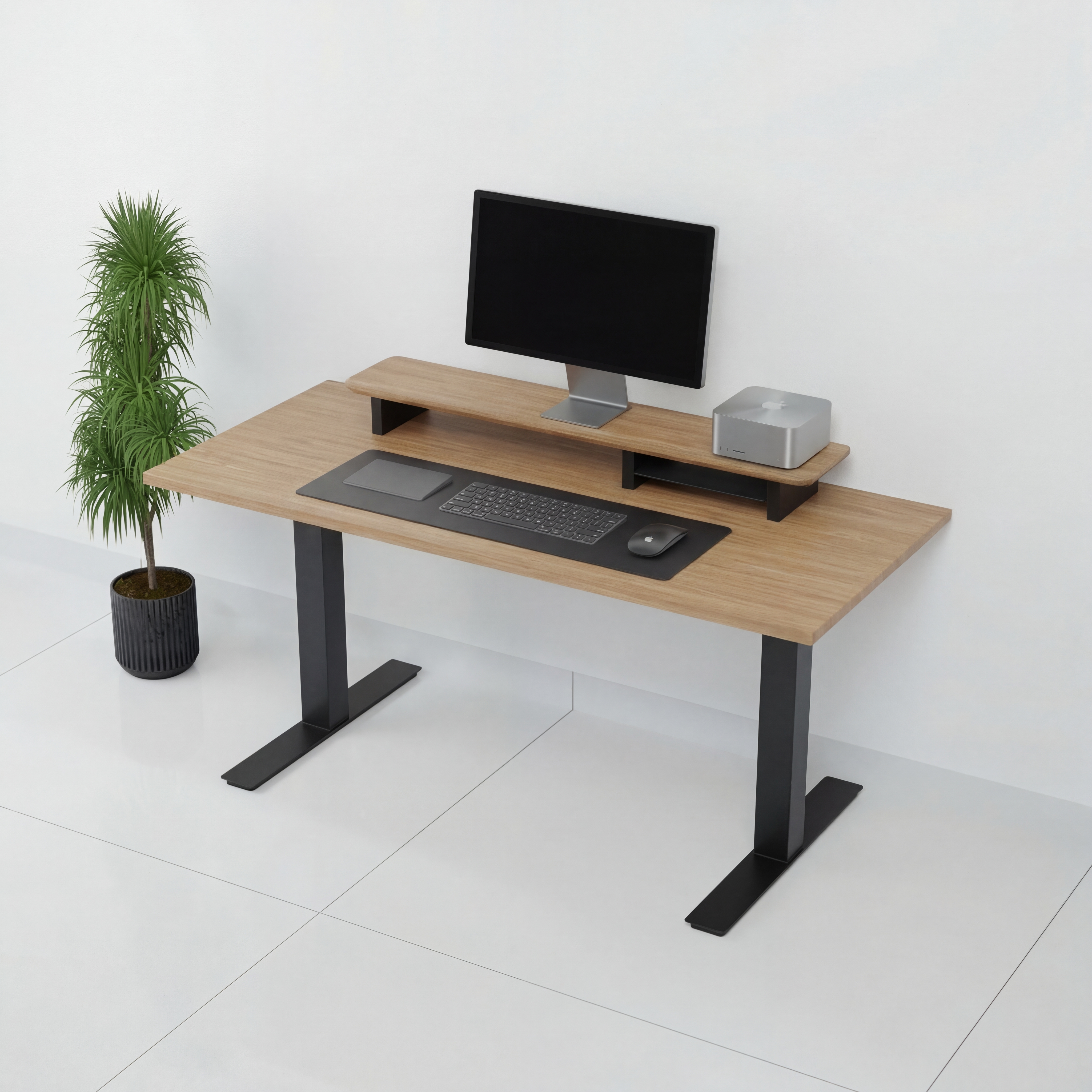 StandPro 2 Jequitiba 010