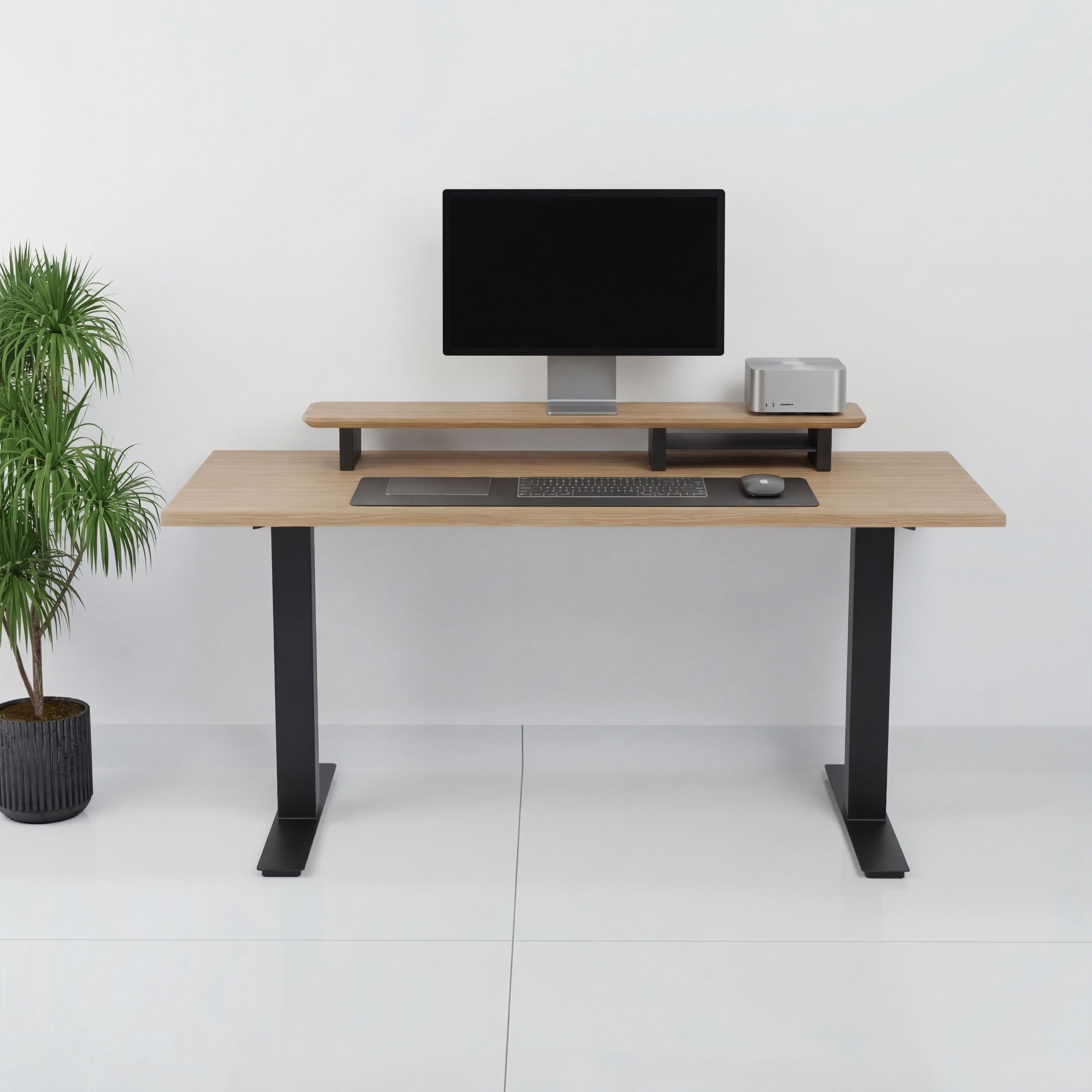 StandPro 2 Jequitiba 011