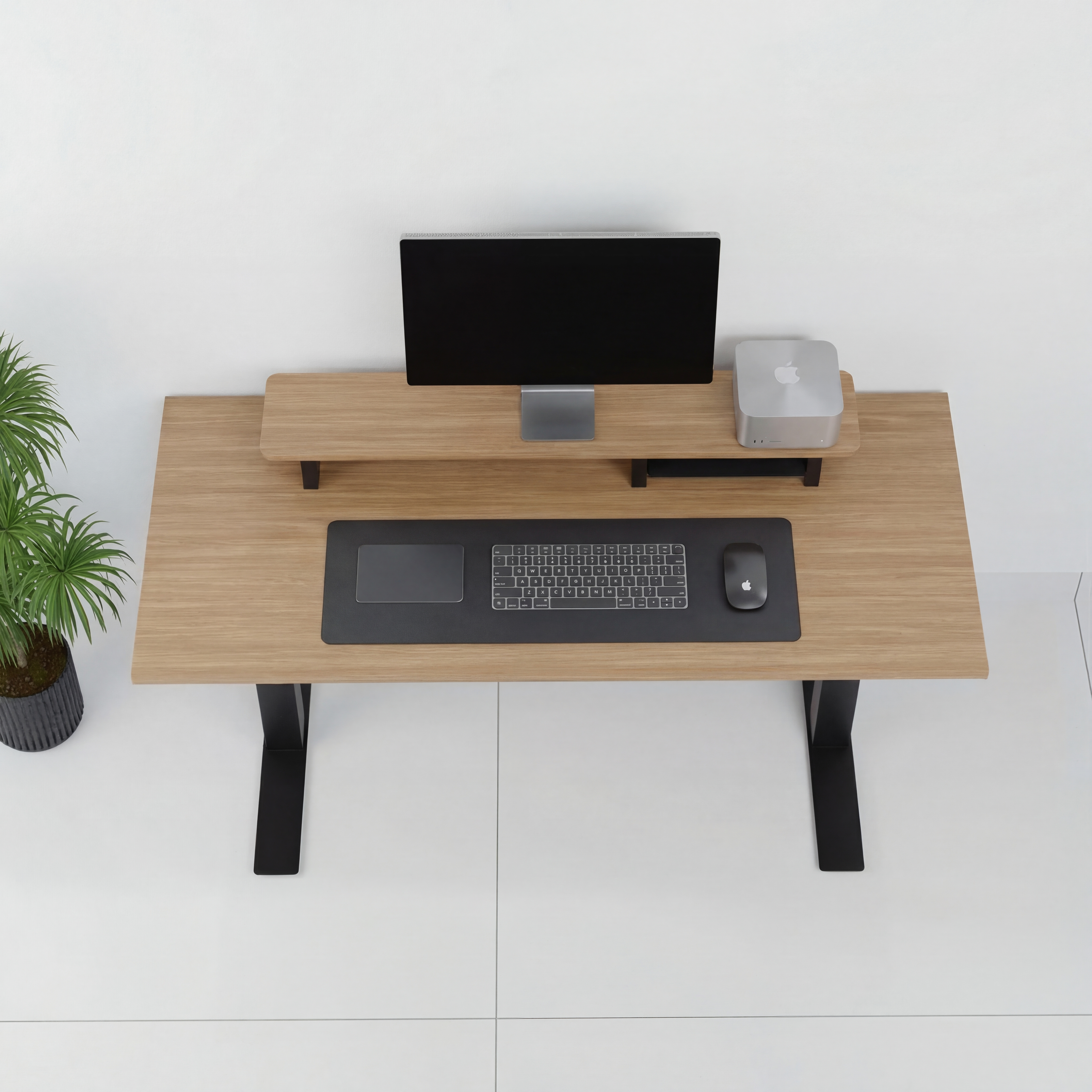 StandPro 2 Jequitiba 012