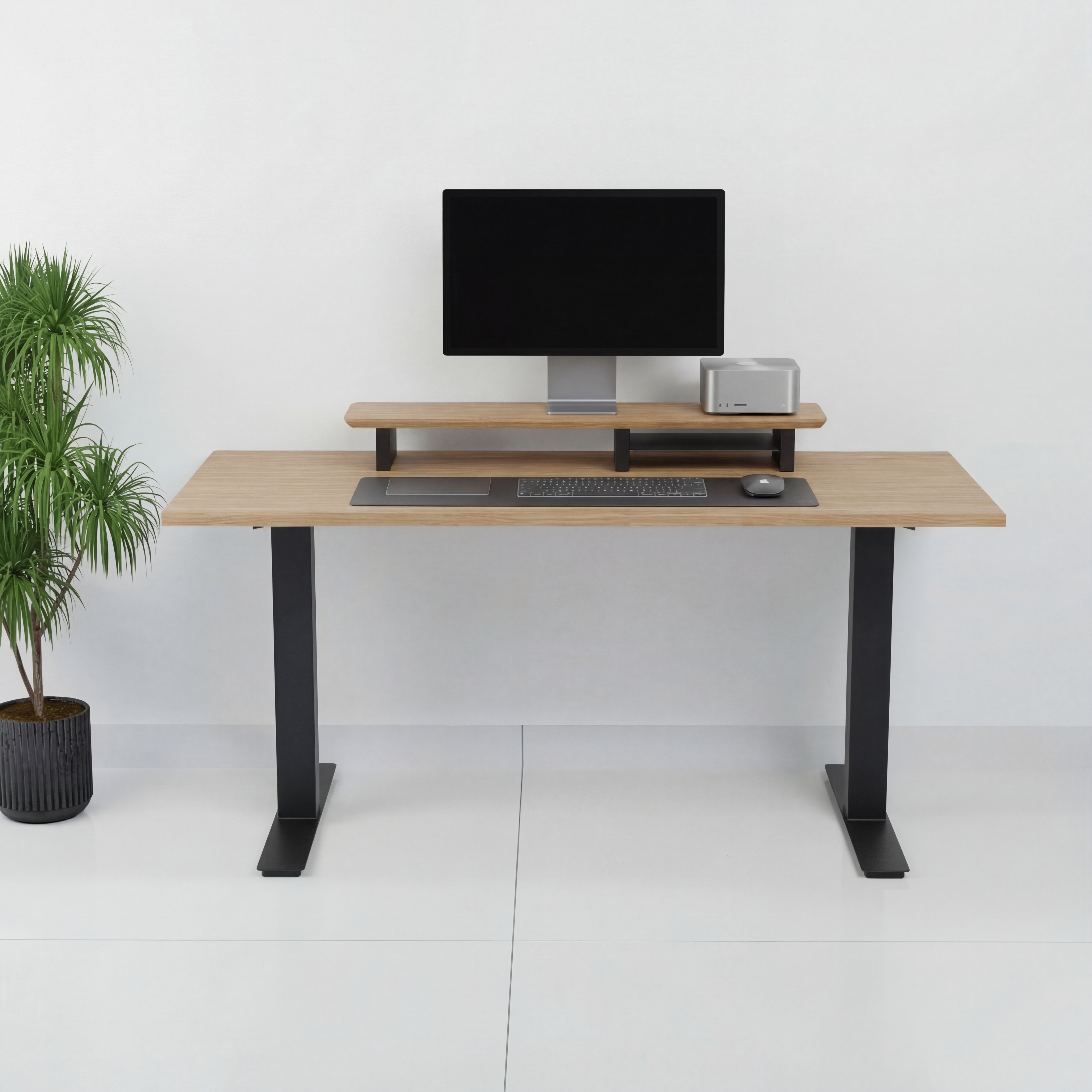 StandPro 2 Slim Jequitiba 011