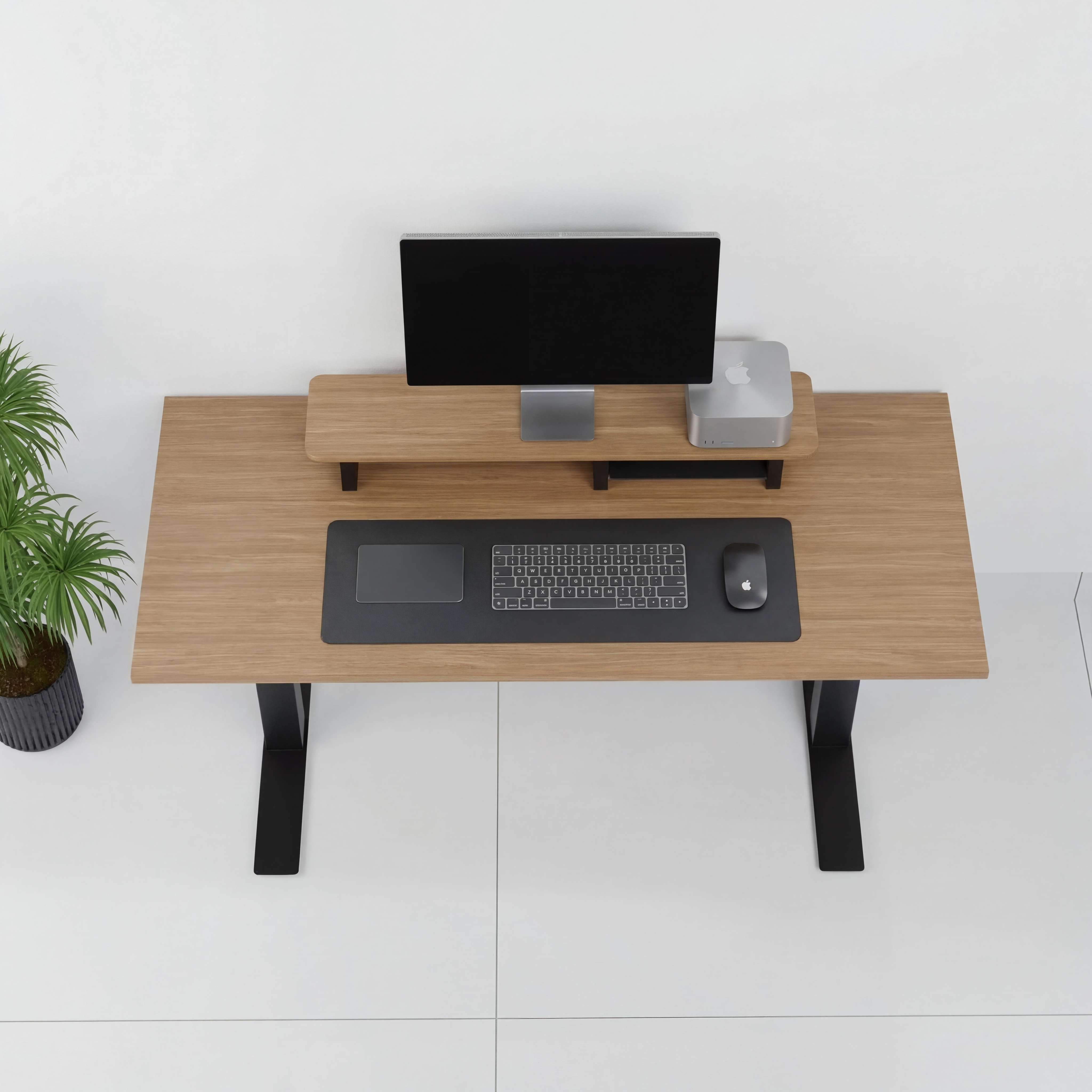 StandPro 2 Slim Jequitiba 012