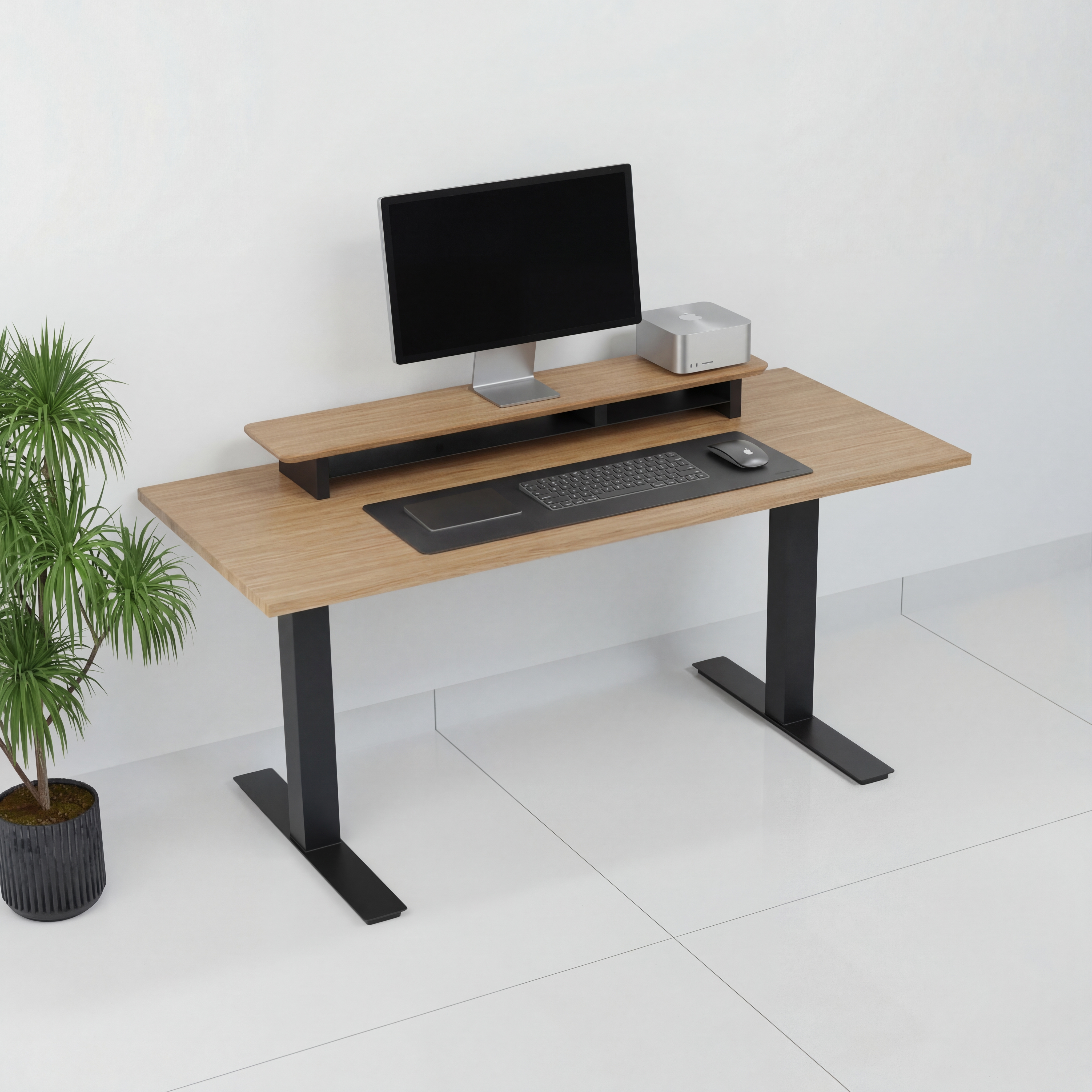 StandPro 4 Jequitiba 009