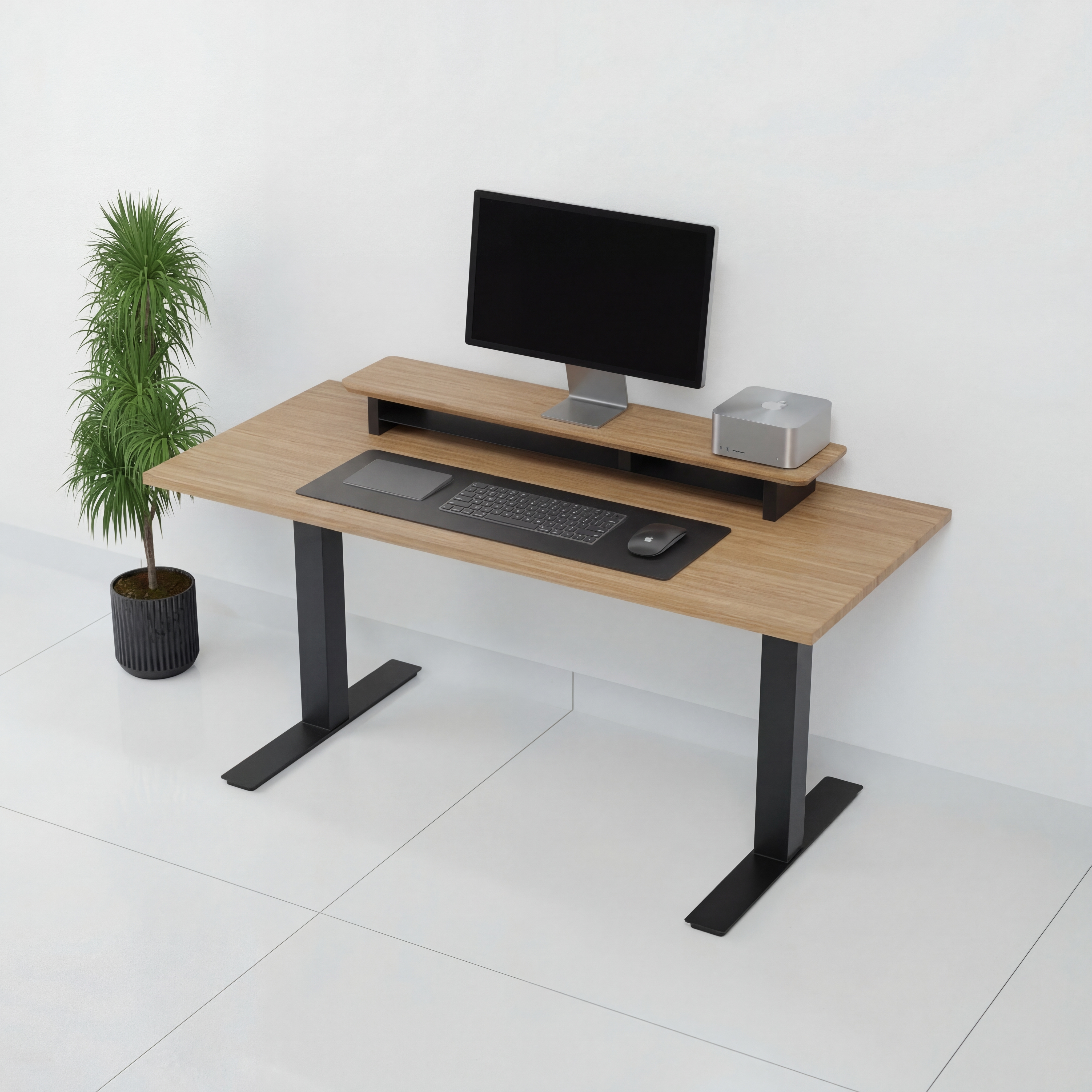 StandPro 4 Jequitiba 010