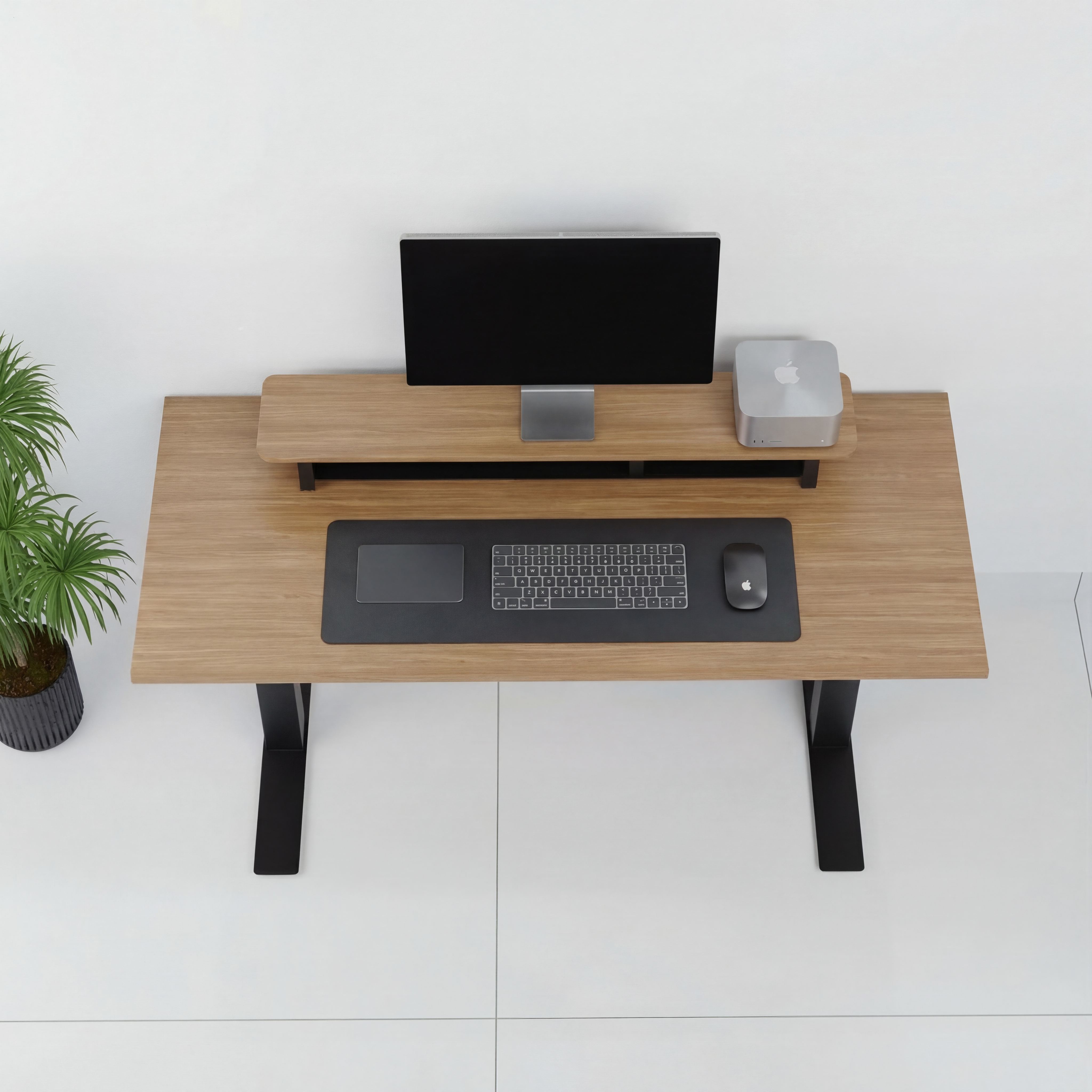 StandPro 4 Jequitiba 012