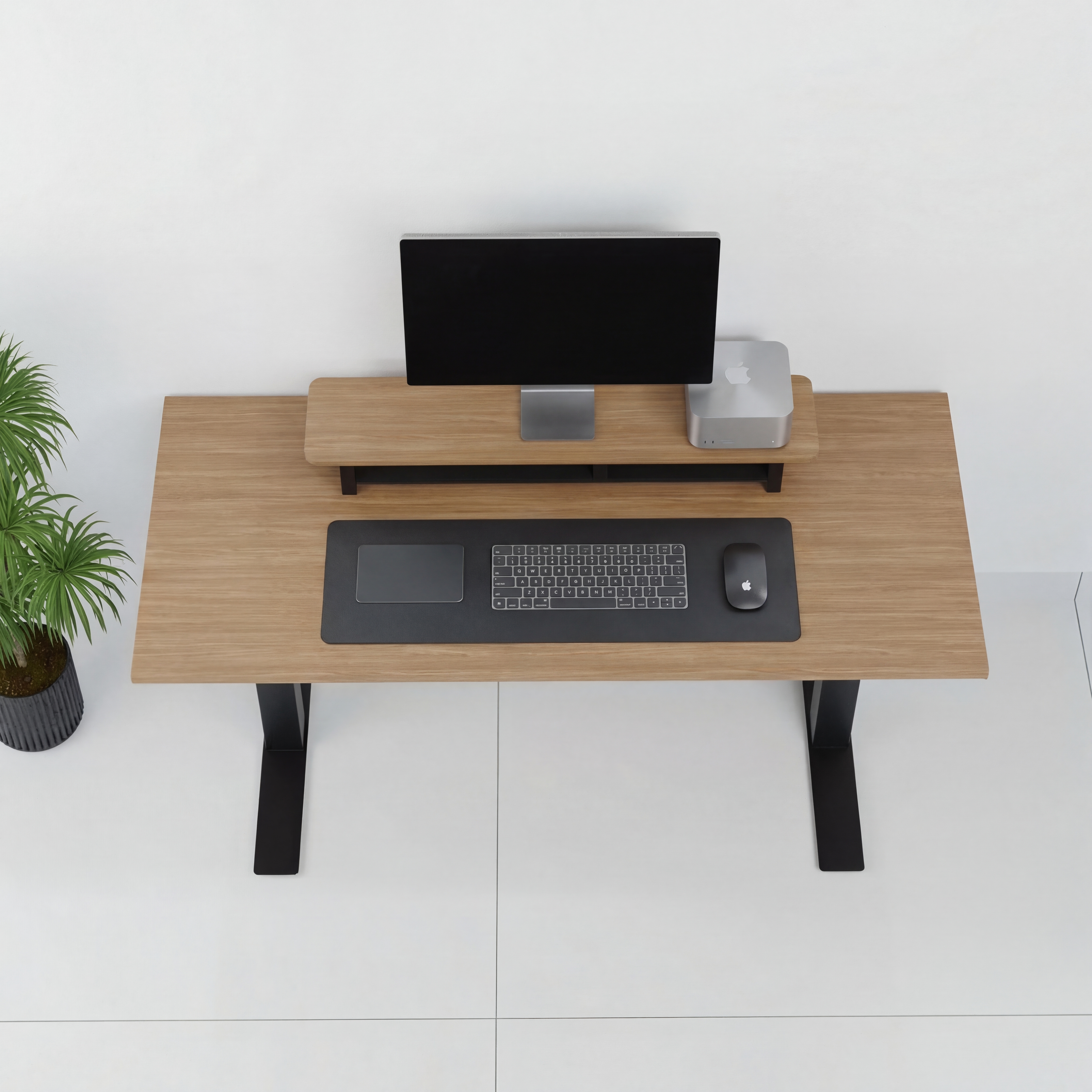 StandPro 4 Slim Jequitiba 012