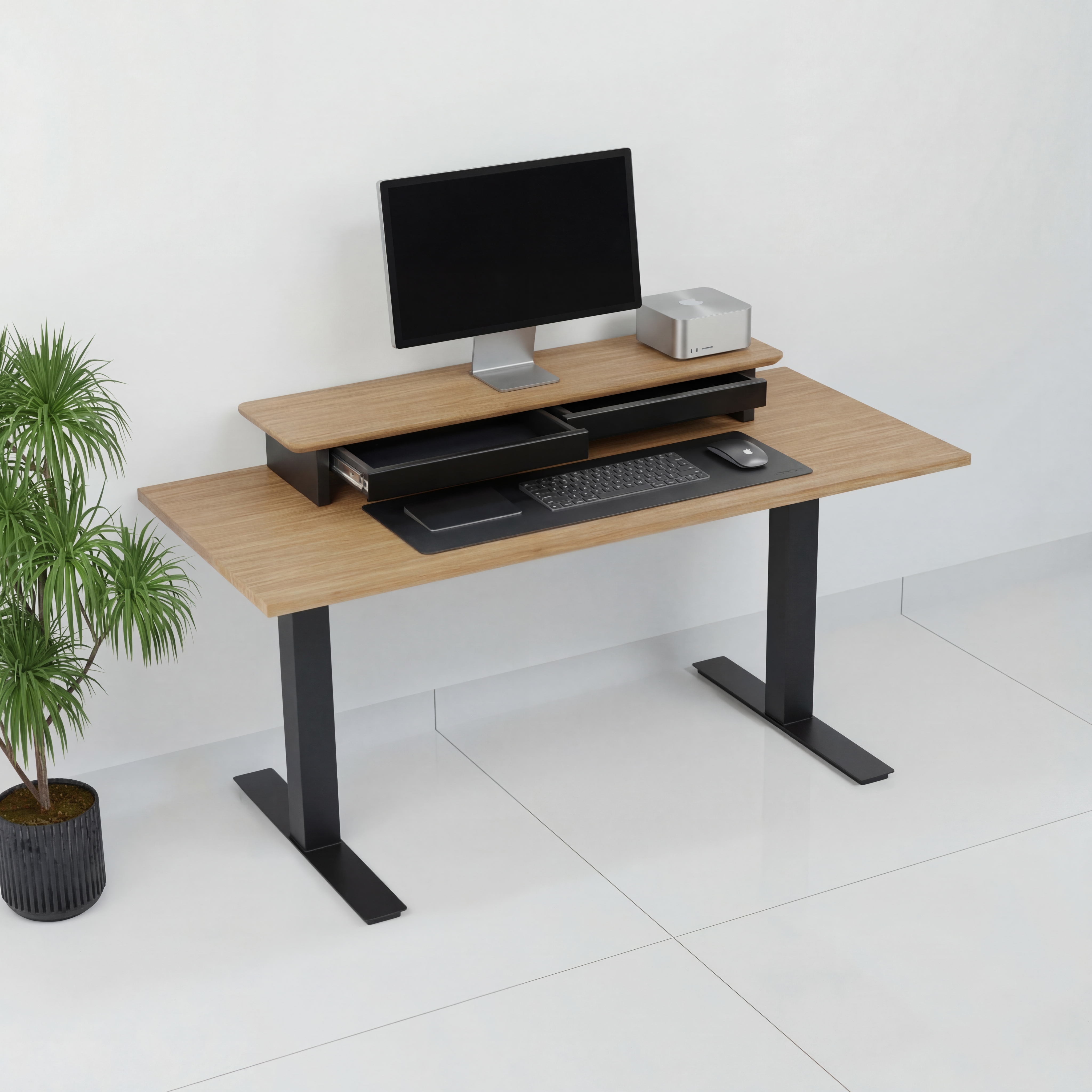 StandPro 5 Jequitiba 009