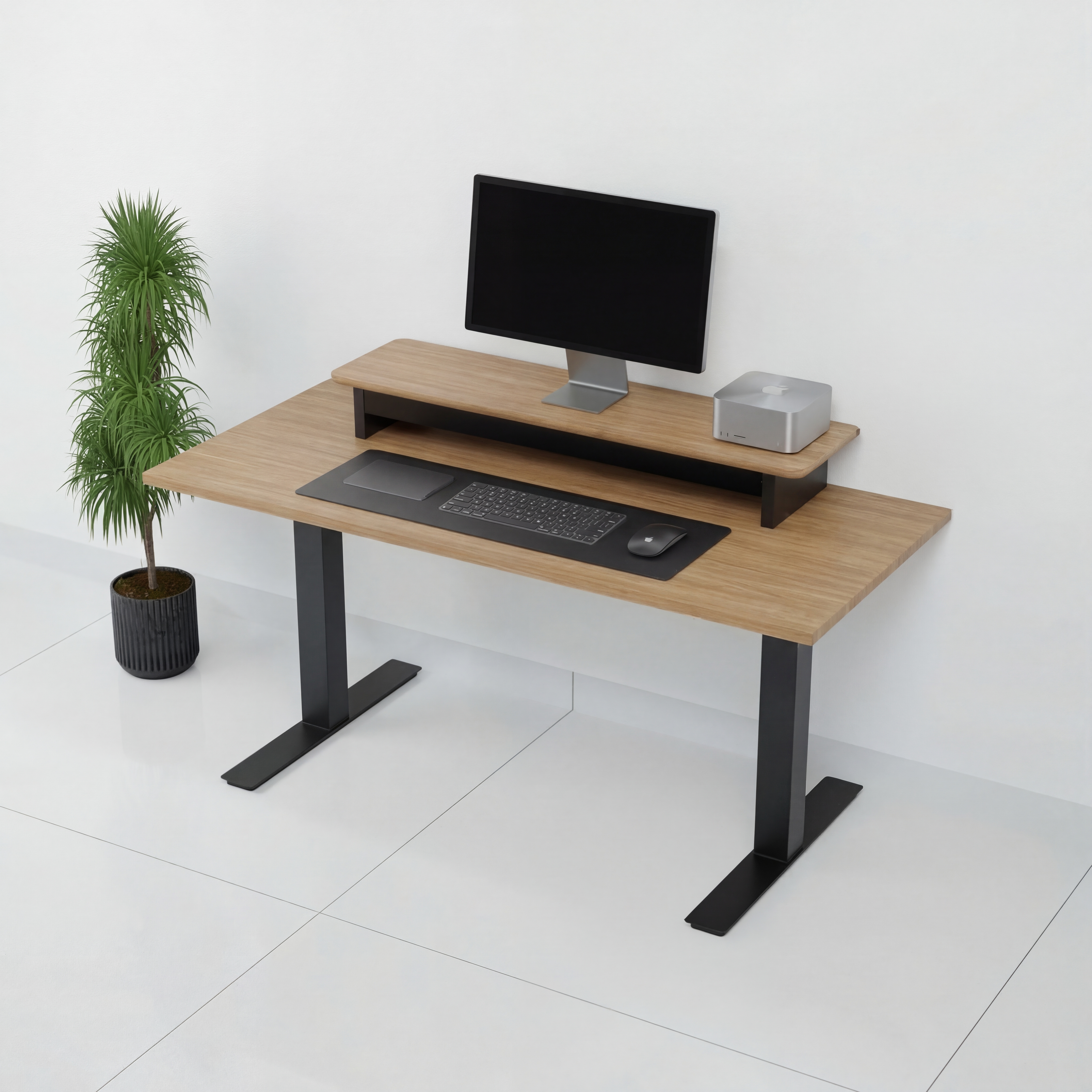 StandPro 5 Jequitiba 010