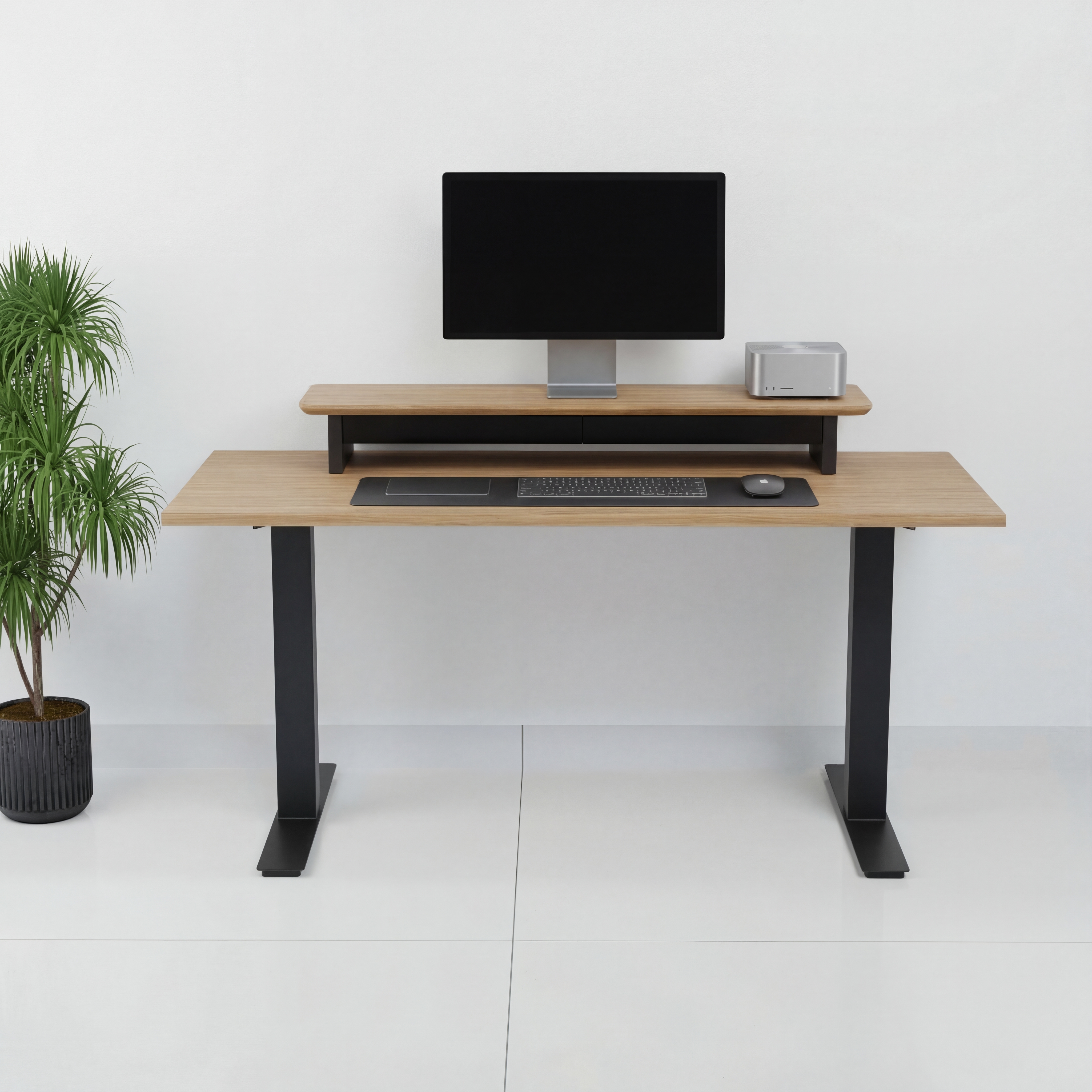 StandPro 5 Jequitiba 011