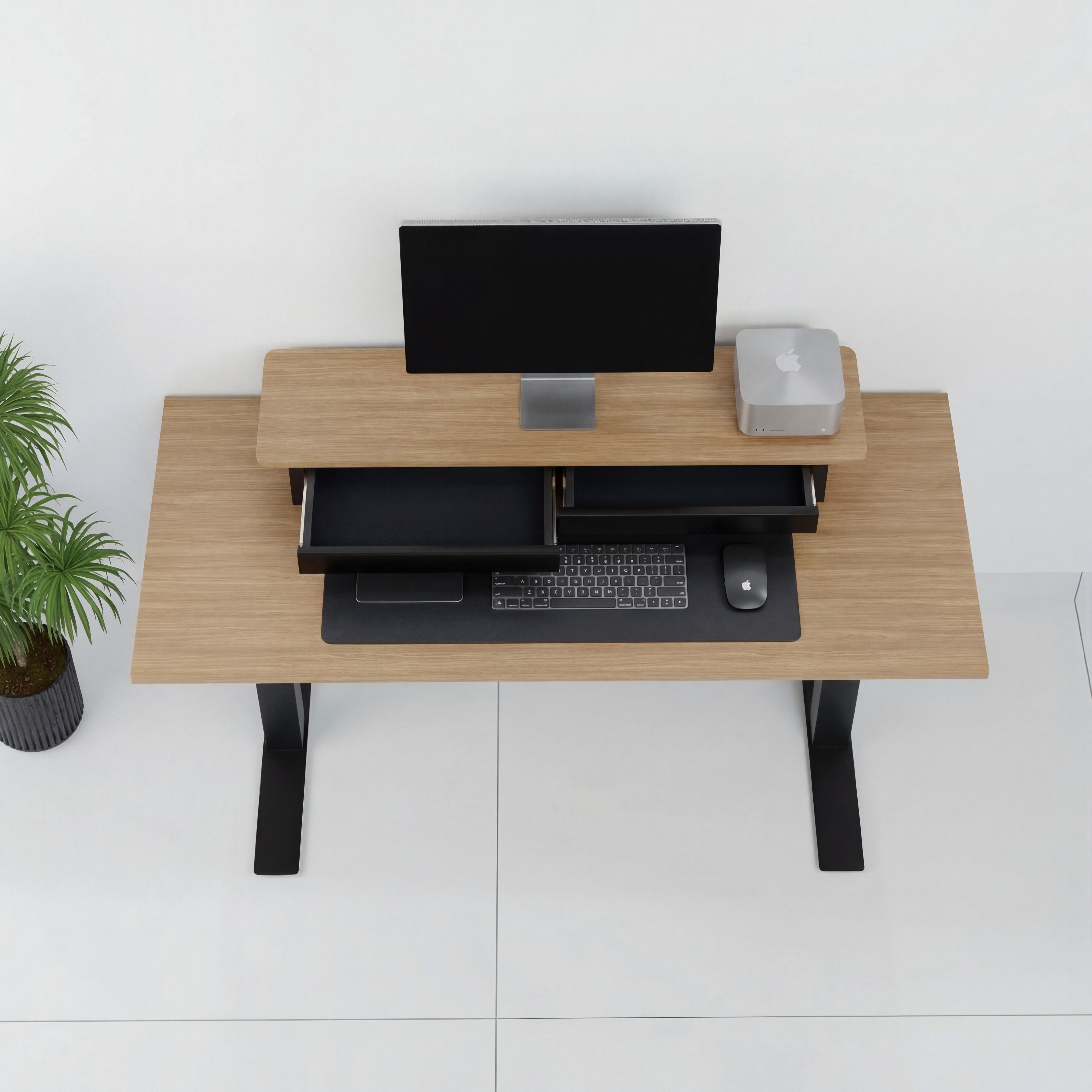 StandPro 5 Jequitiba 012