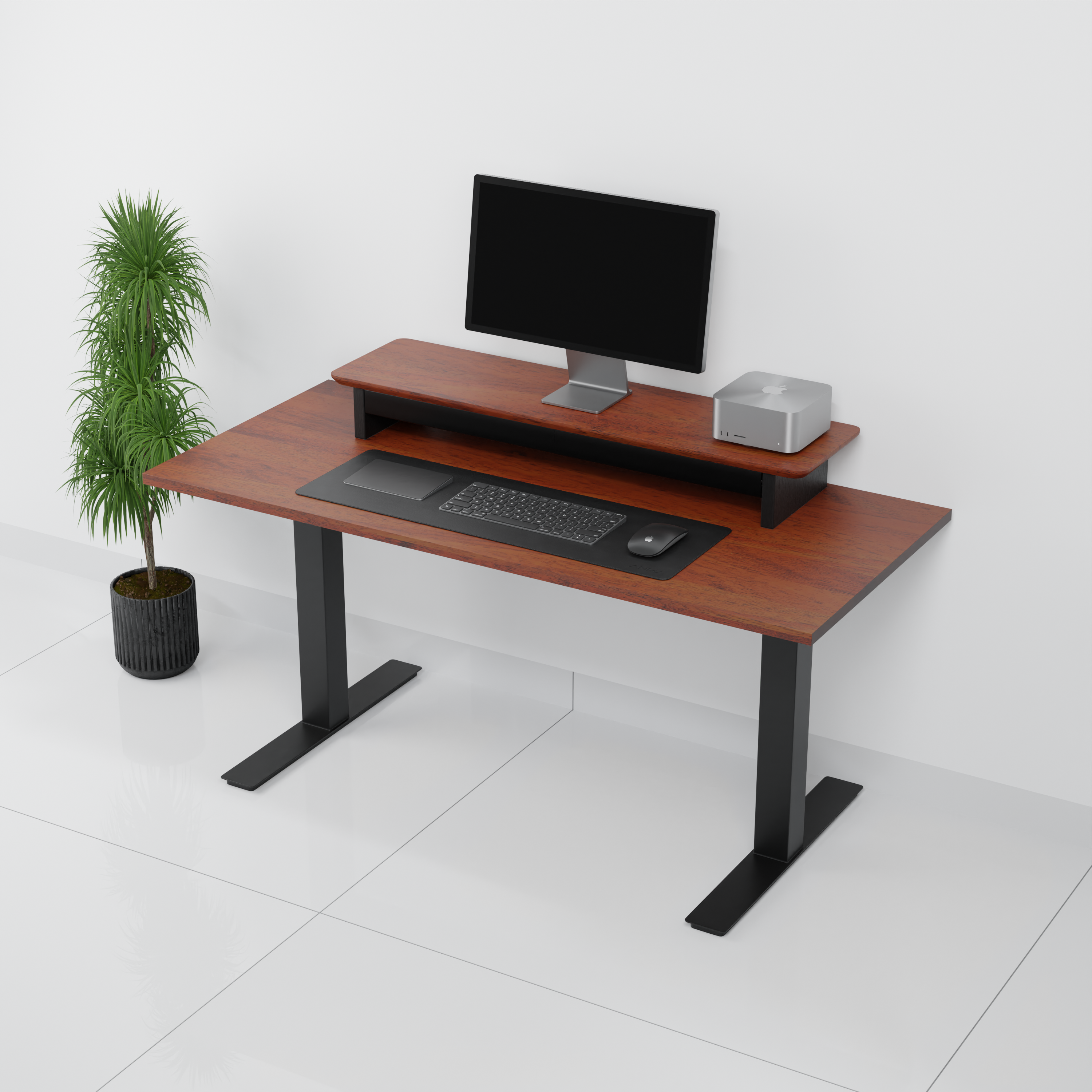 StandPro 5 Mogno 010