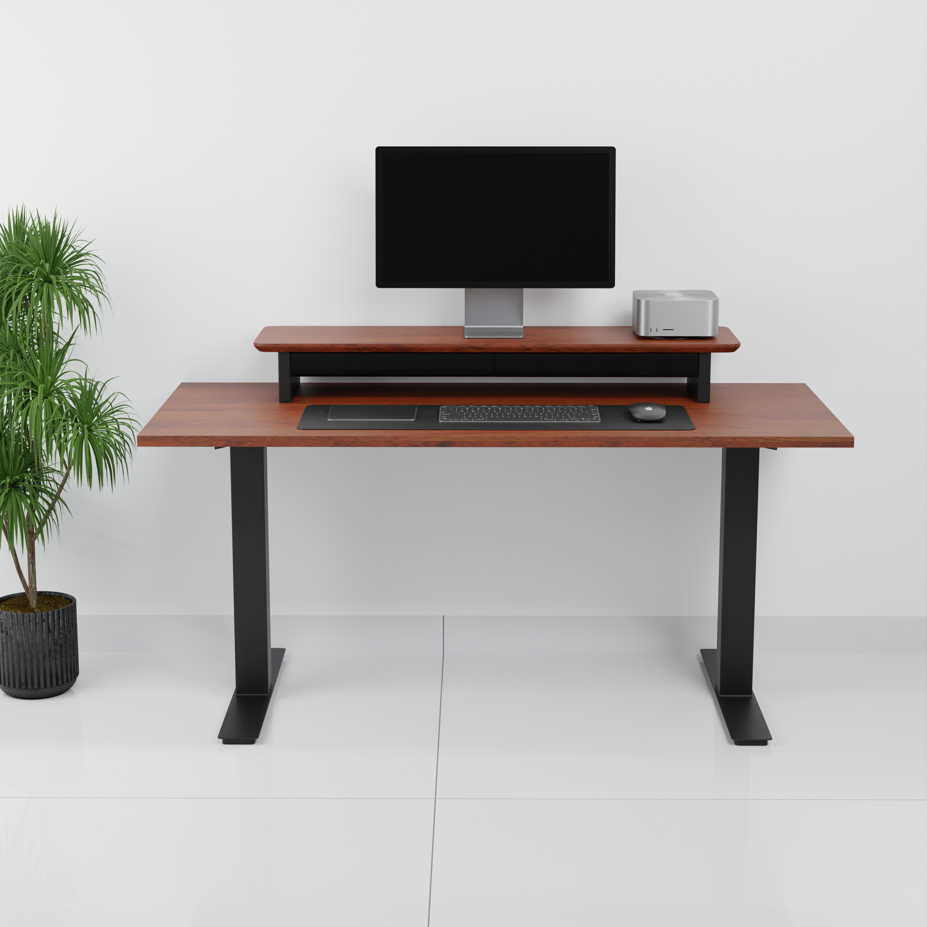 StandPro 5 Mogno 011