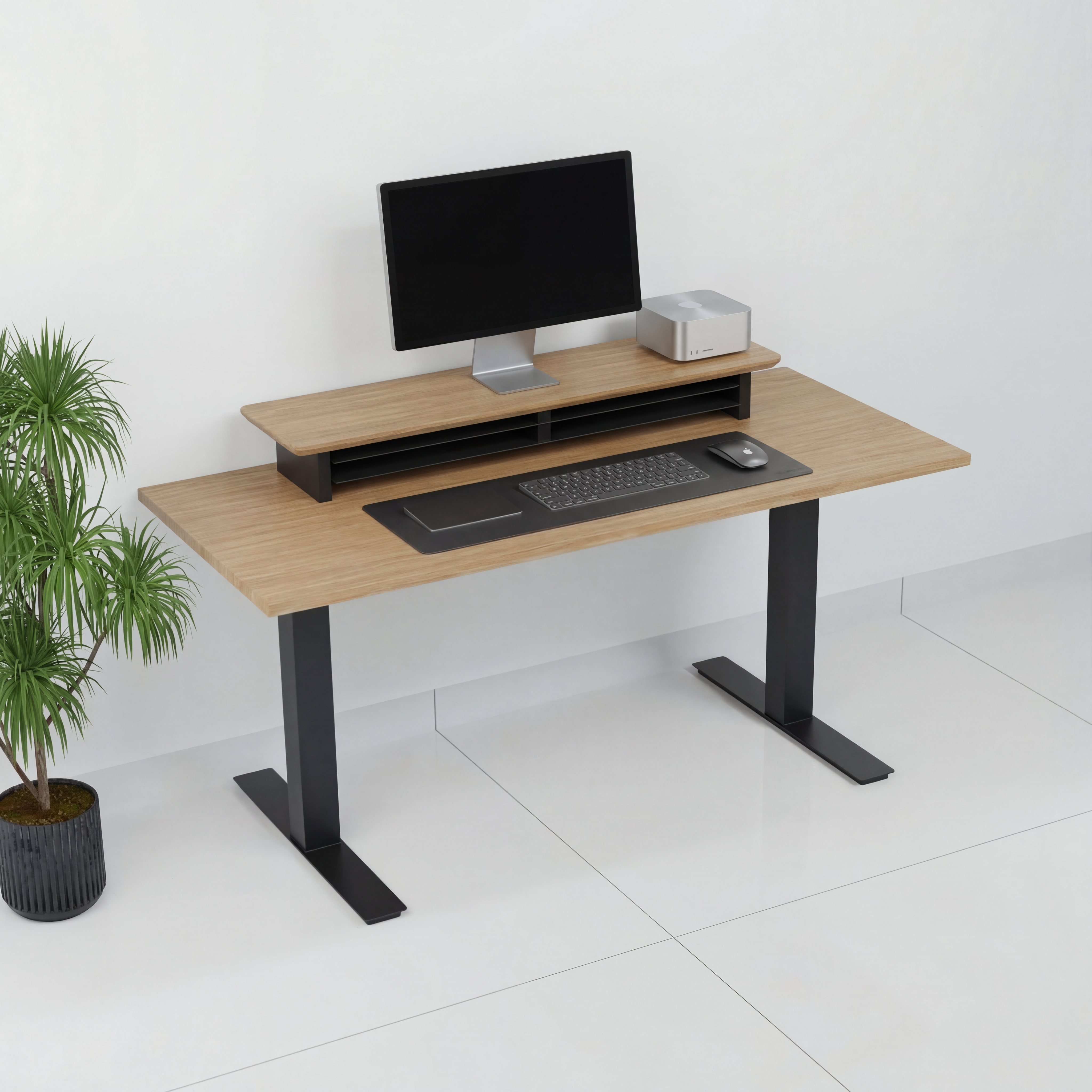 StandPro 6 Jequitiba 009