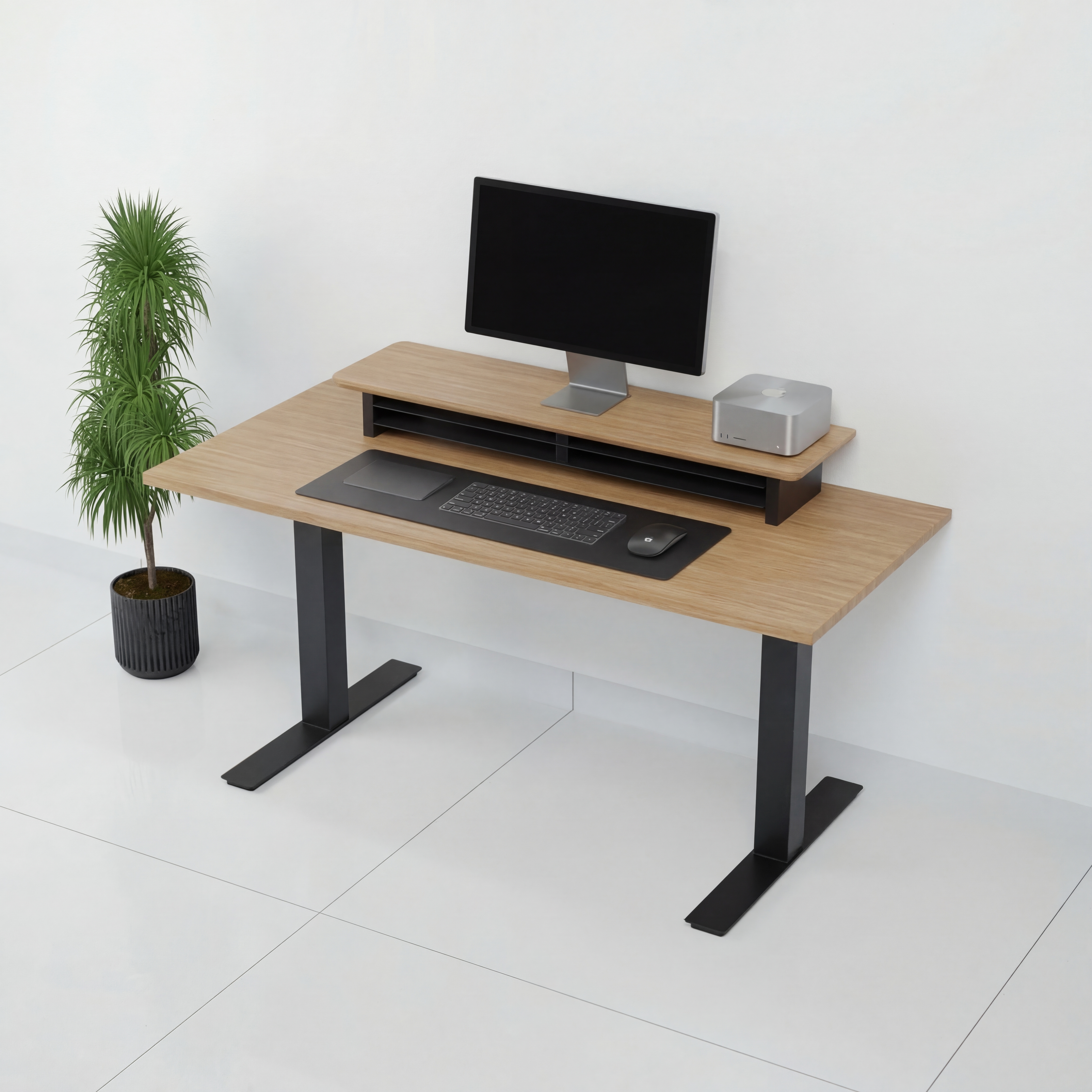 StandPro 6 Jequitiba 010