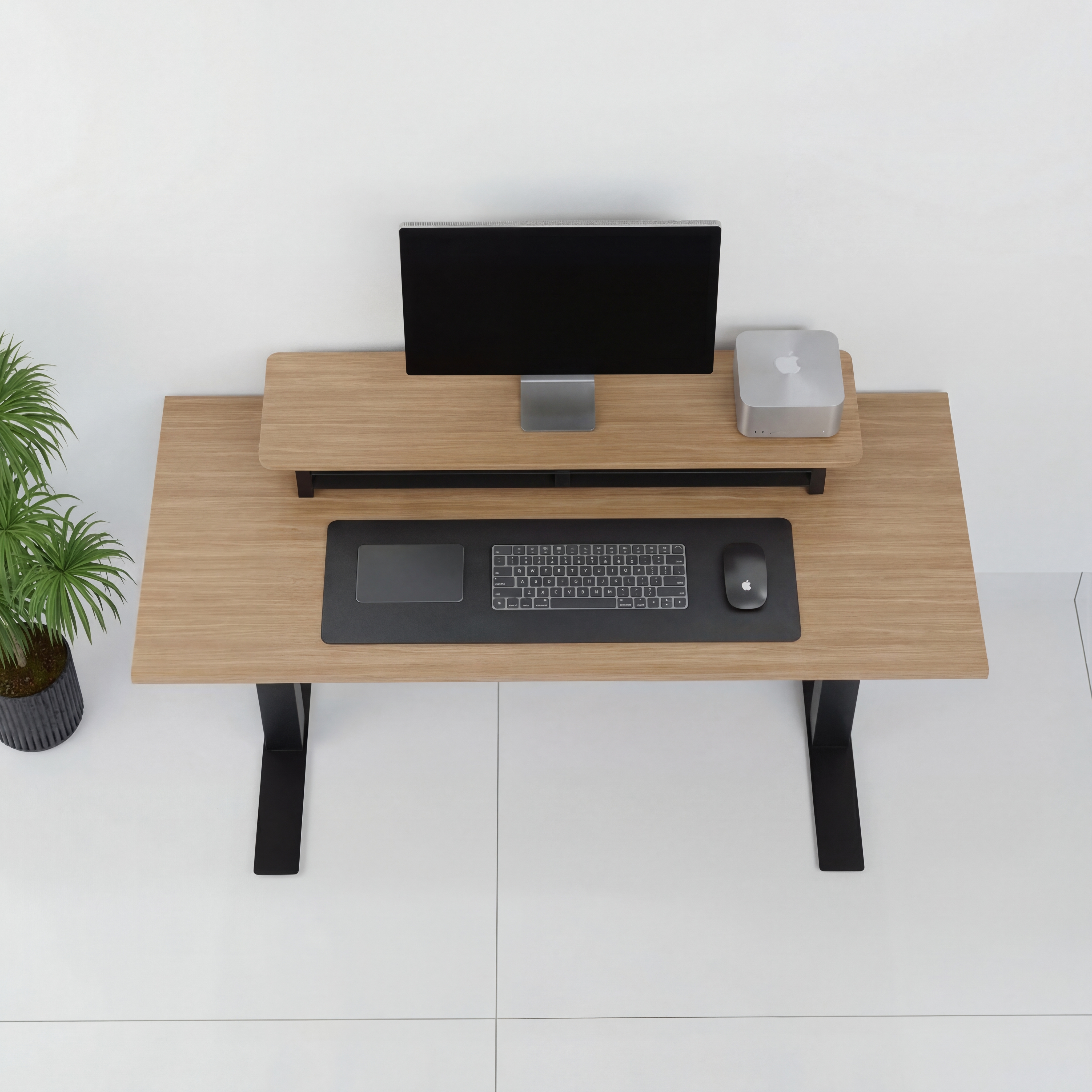 StandPro 6 Jequitiba 012