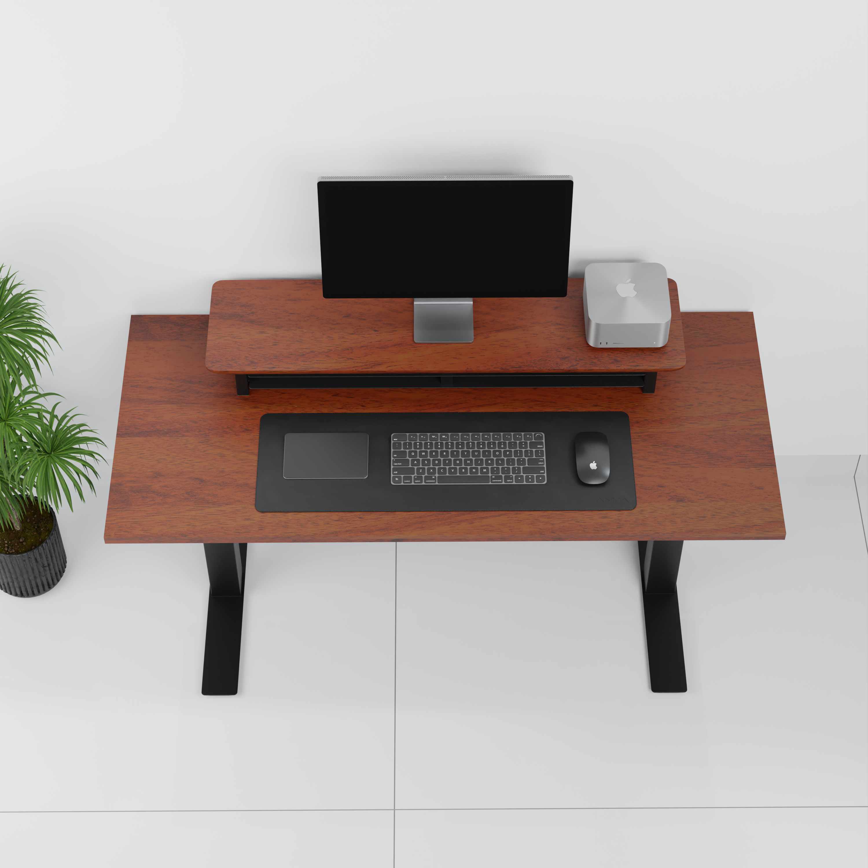 StandPro 6 Mogno 013