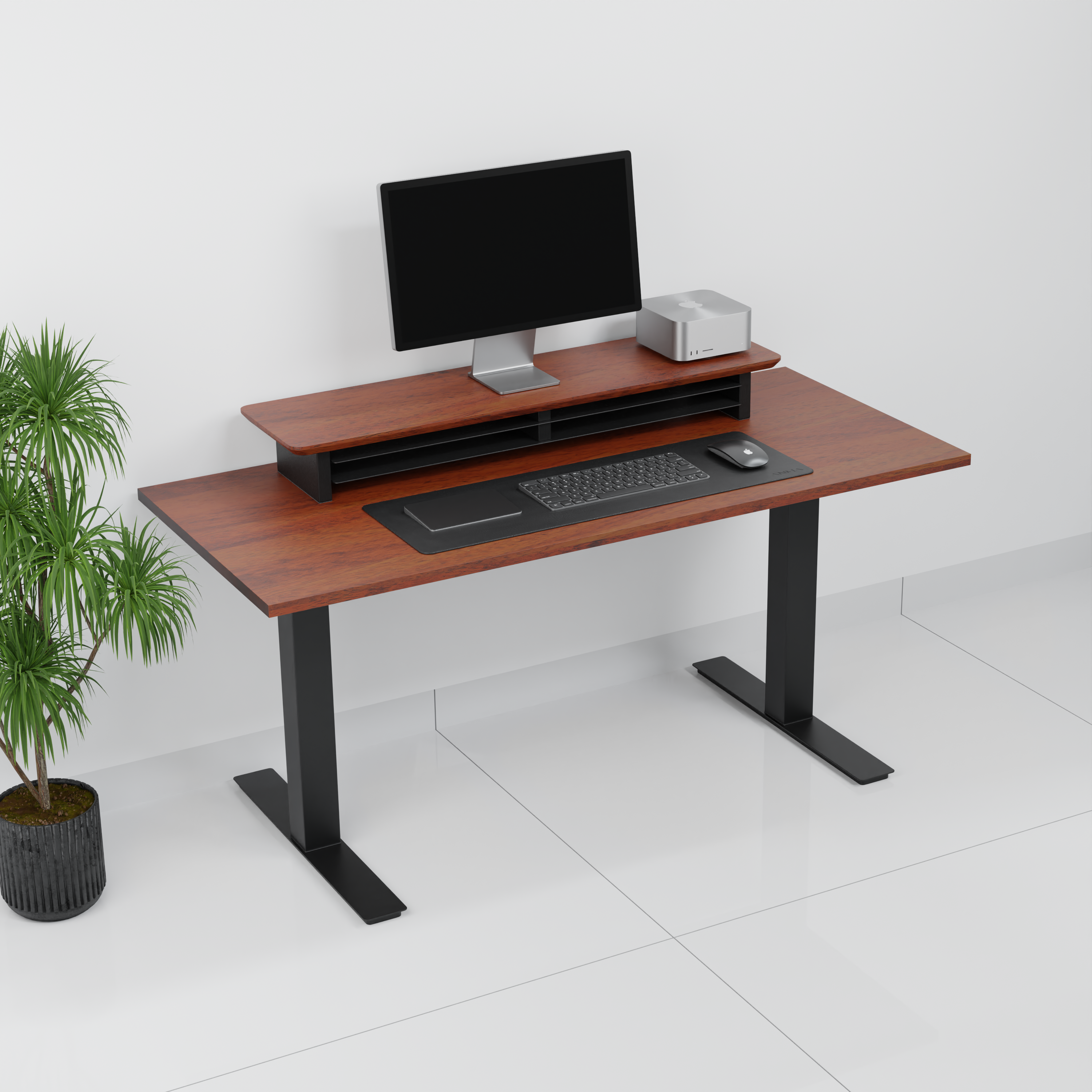 StandPro 6 Mogno 016