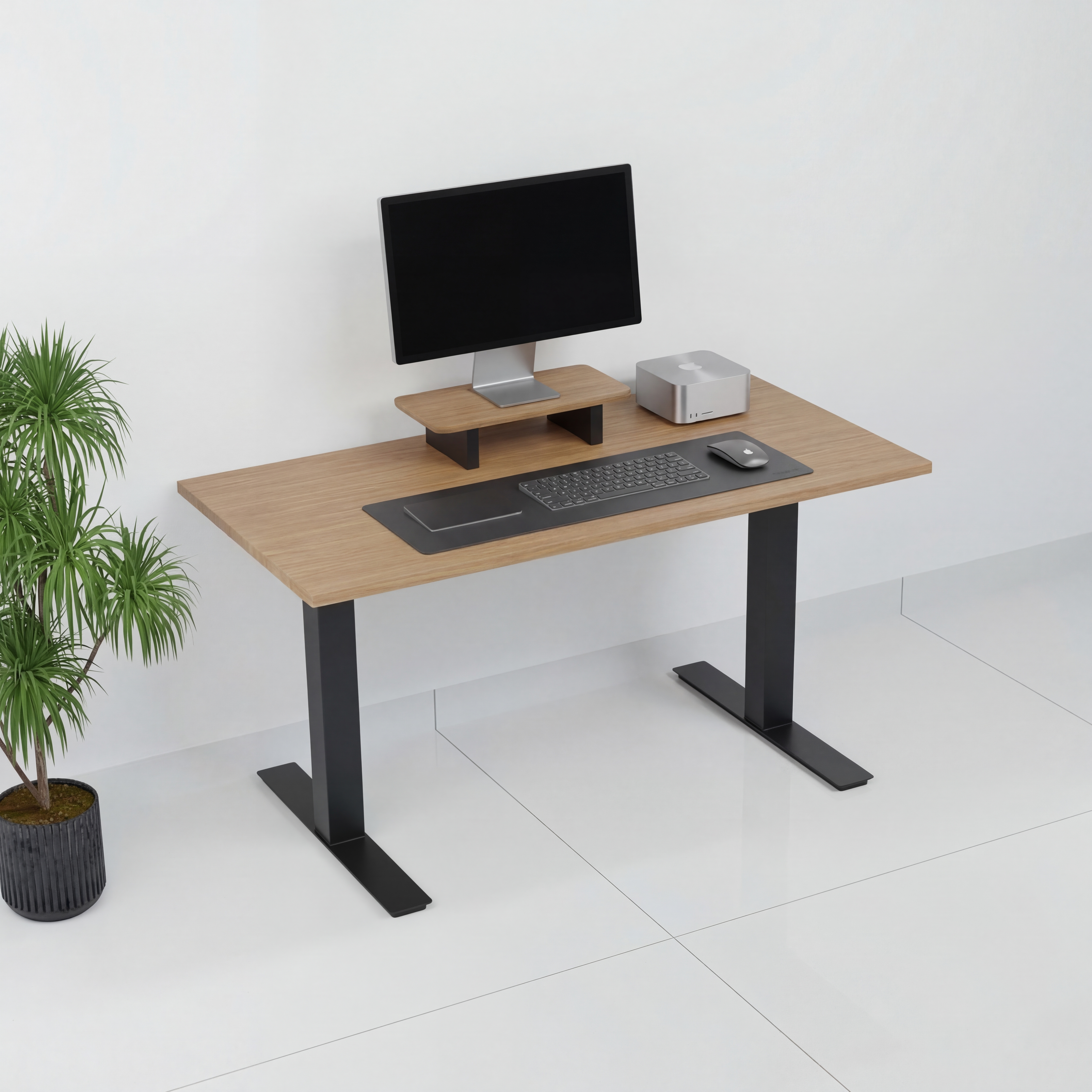 StandPro Mini Jequitiba 009