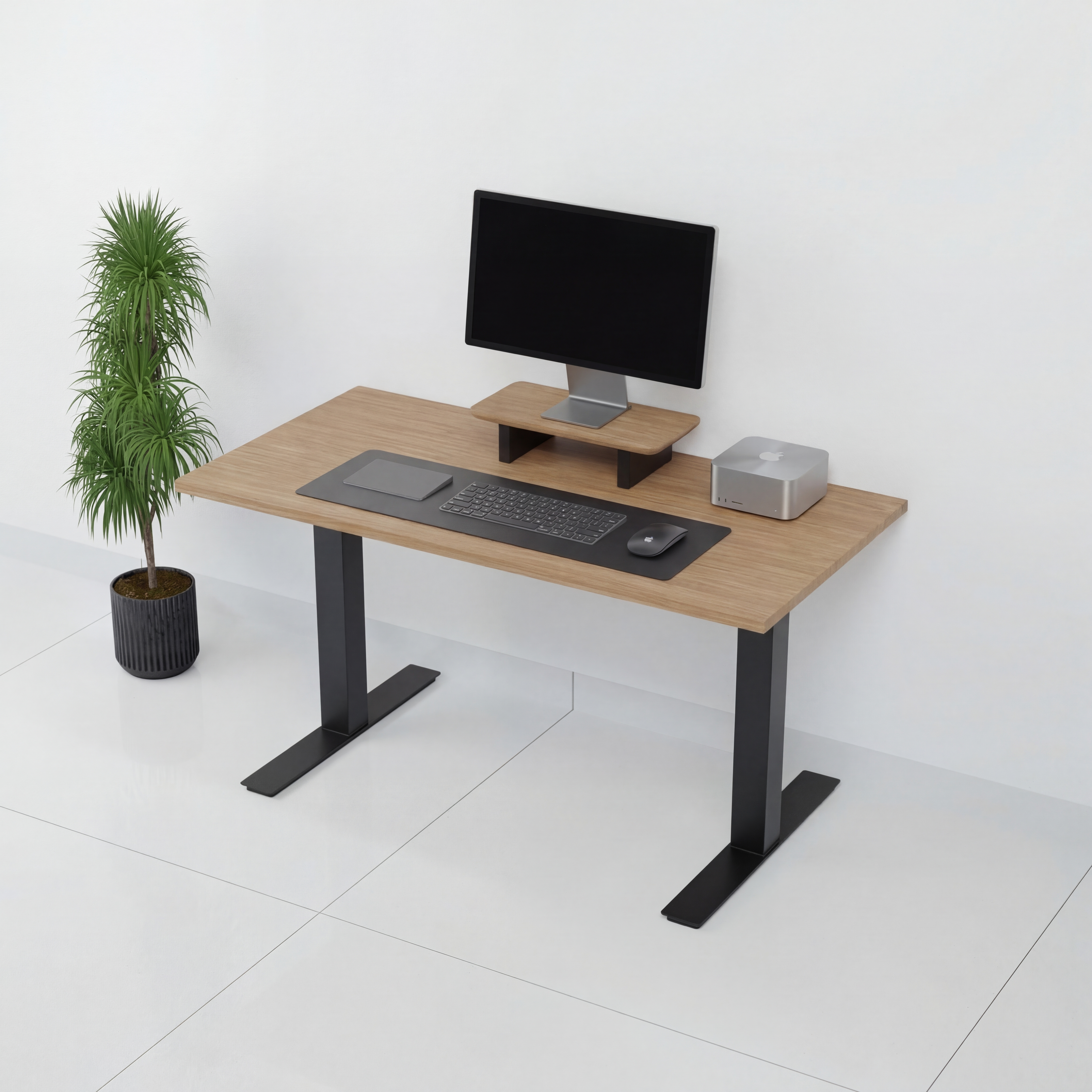 StandPro Mini Jequitiba 010