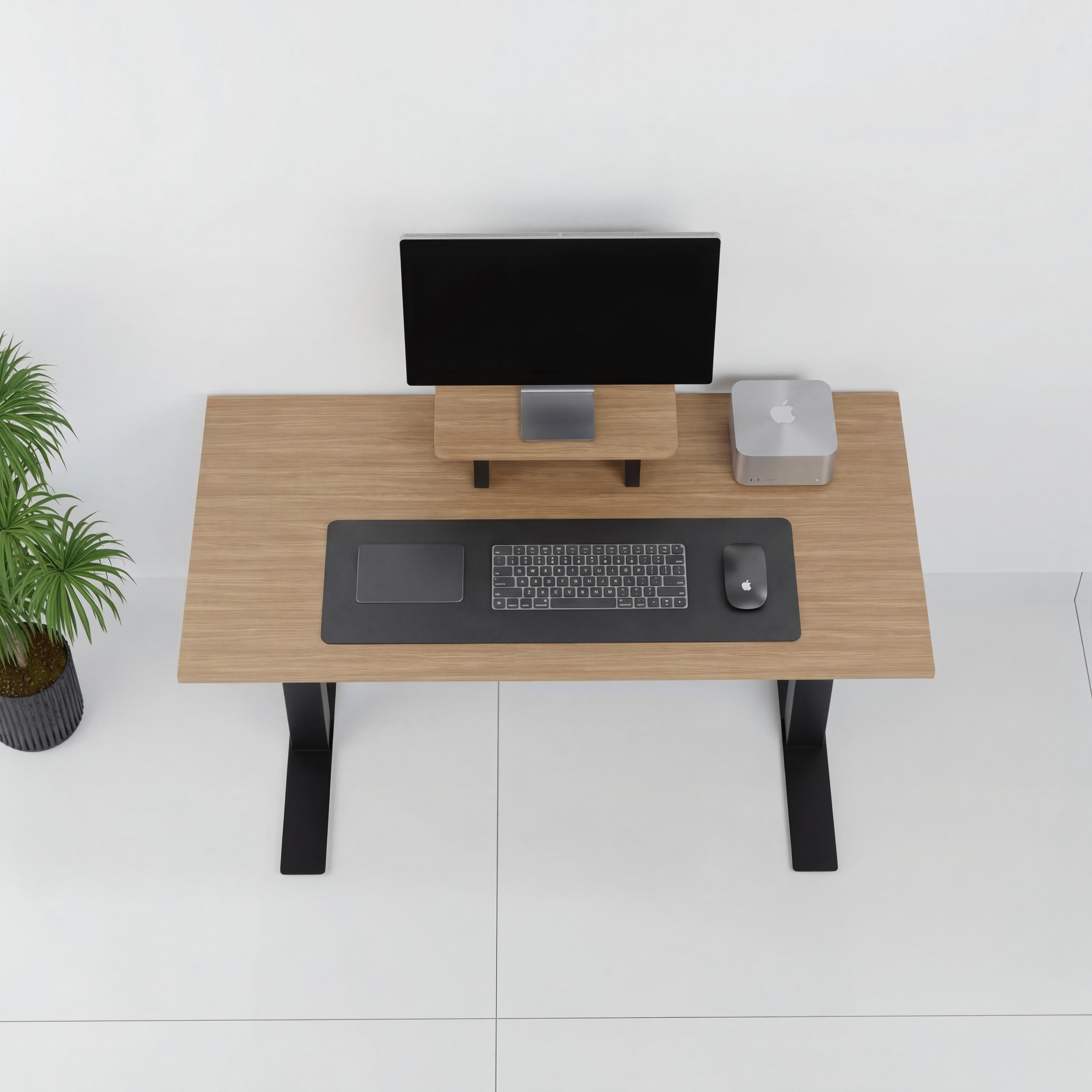 StandPro Mini Jequitiba 012