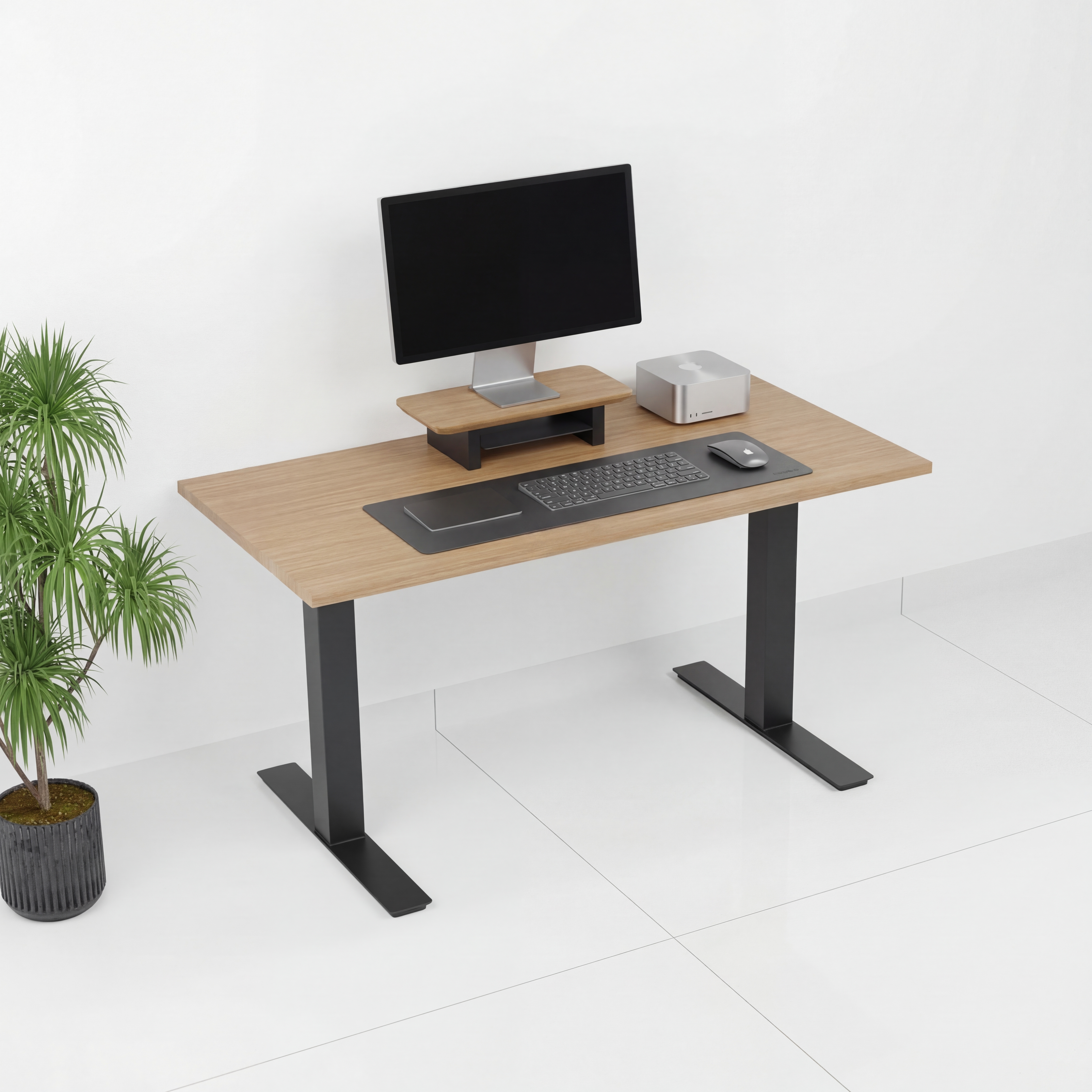 StandPro Mini Plus Jequitiba 009