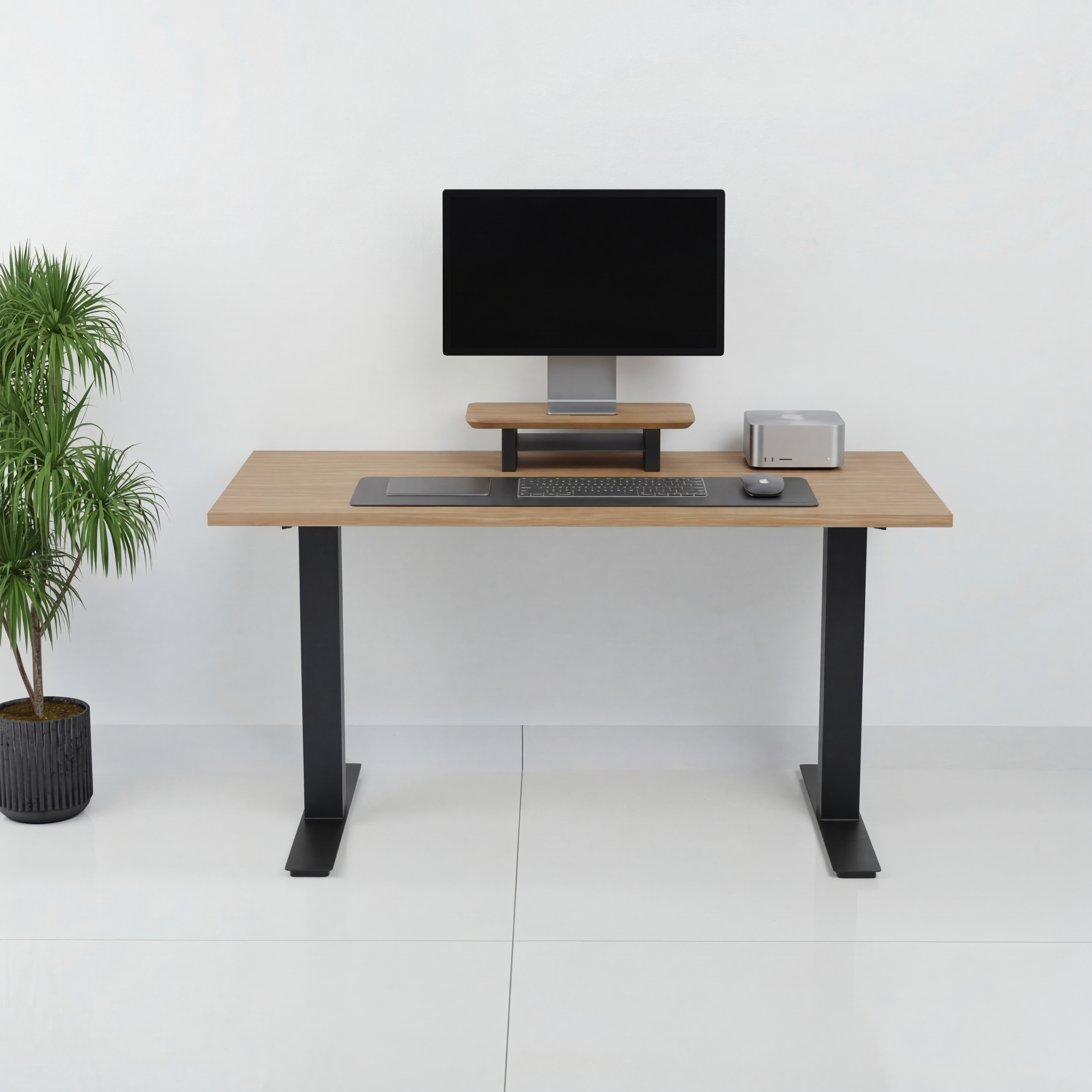 StandPro Mini Plus Jequitiba 011