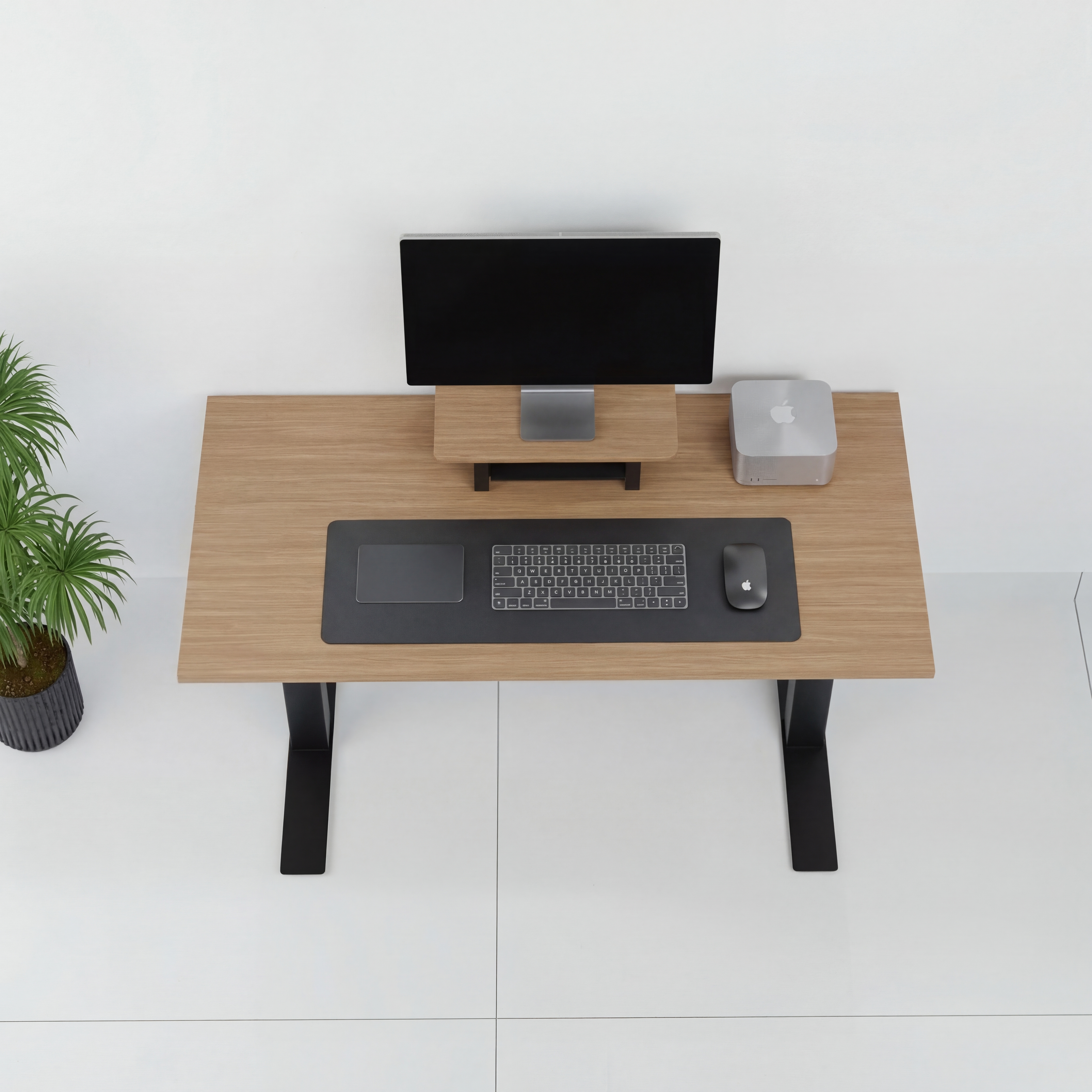 StandPro Mini Plus Jequitiba 012