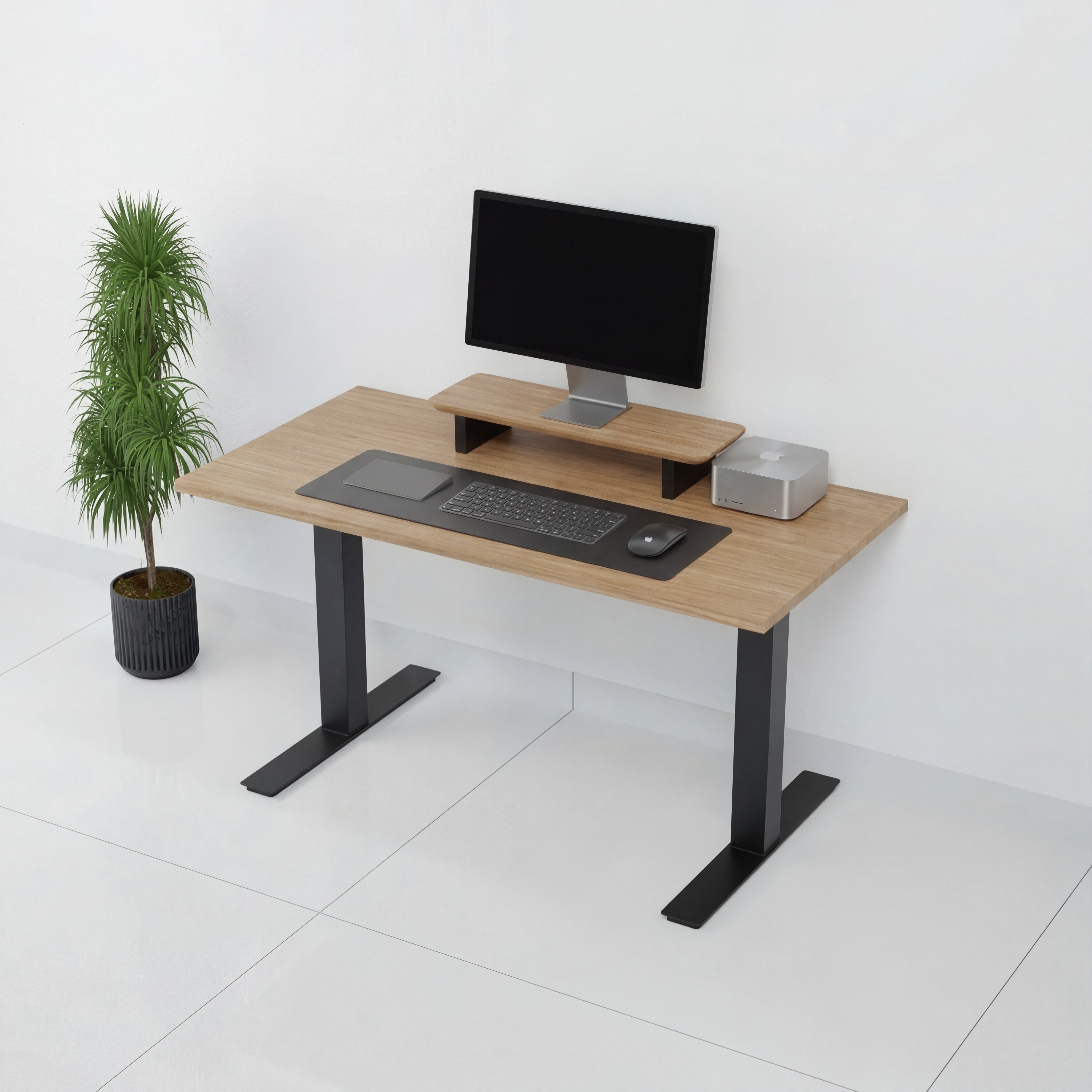 StandPro Slim Jequitiba 010