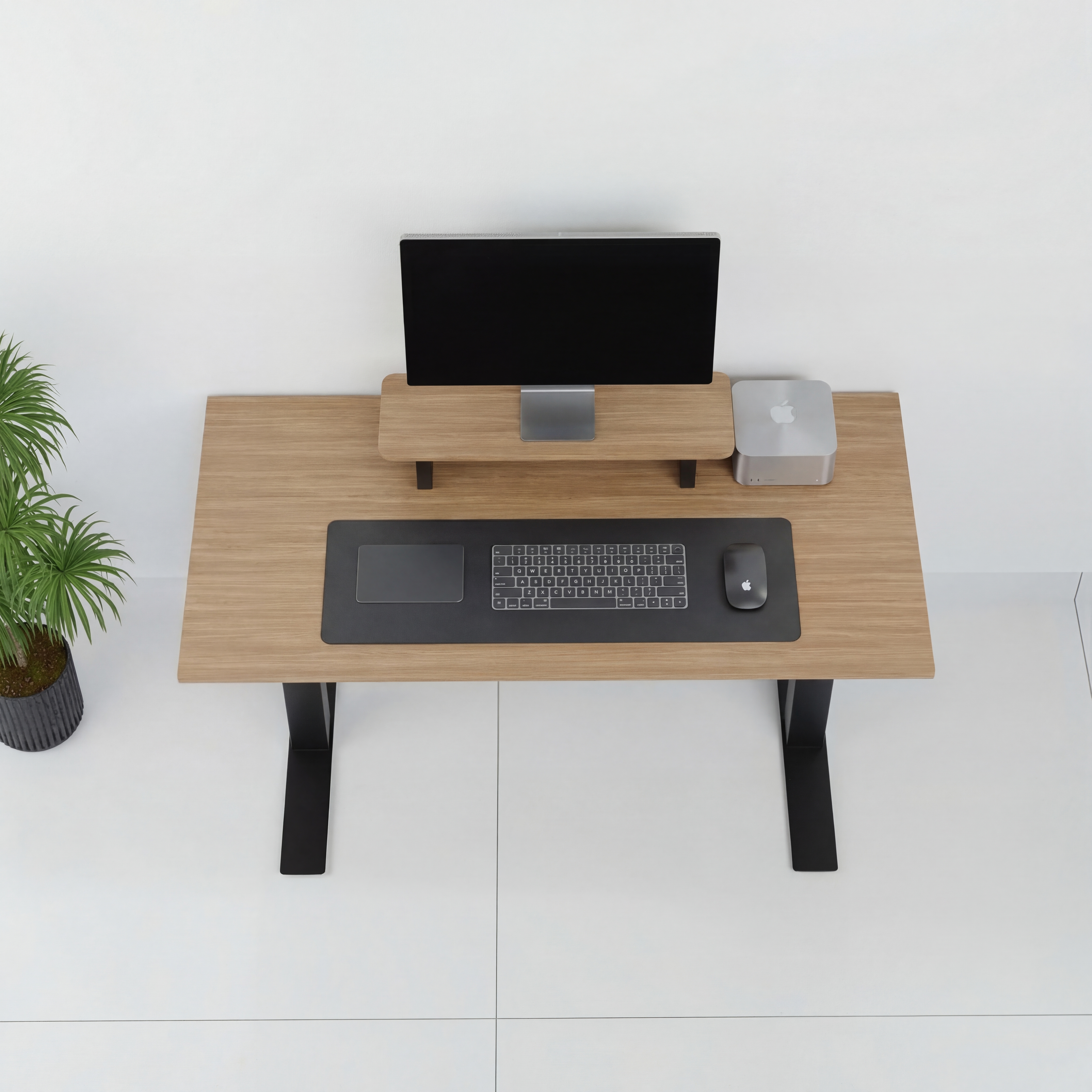 StandPro Slim Jequitiba 012