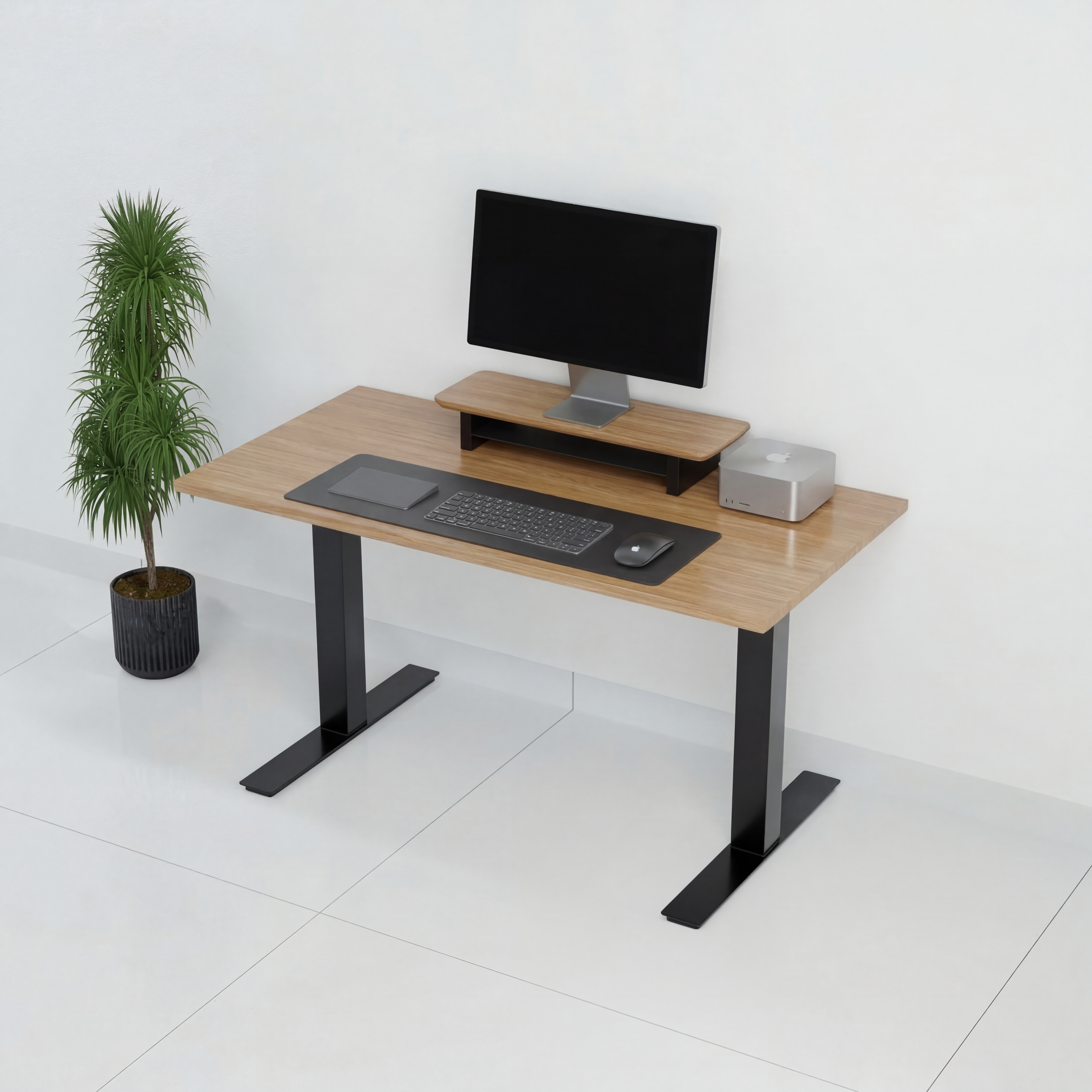 StandPro Slim Plus Jequitiba 010